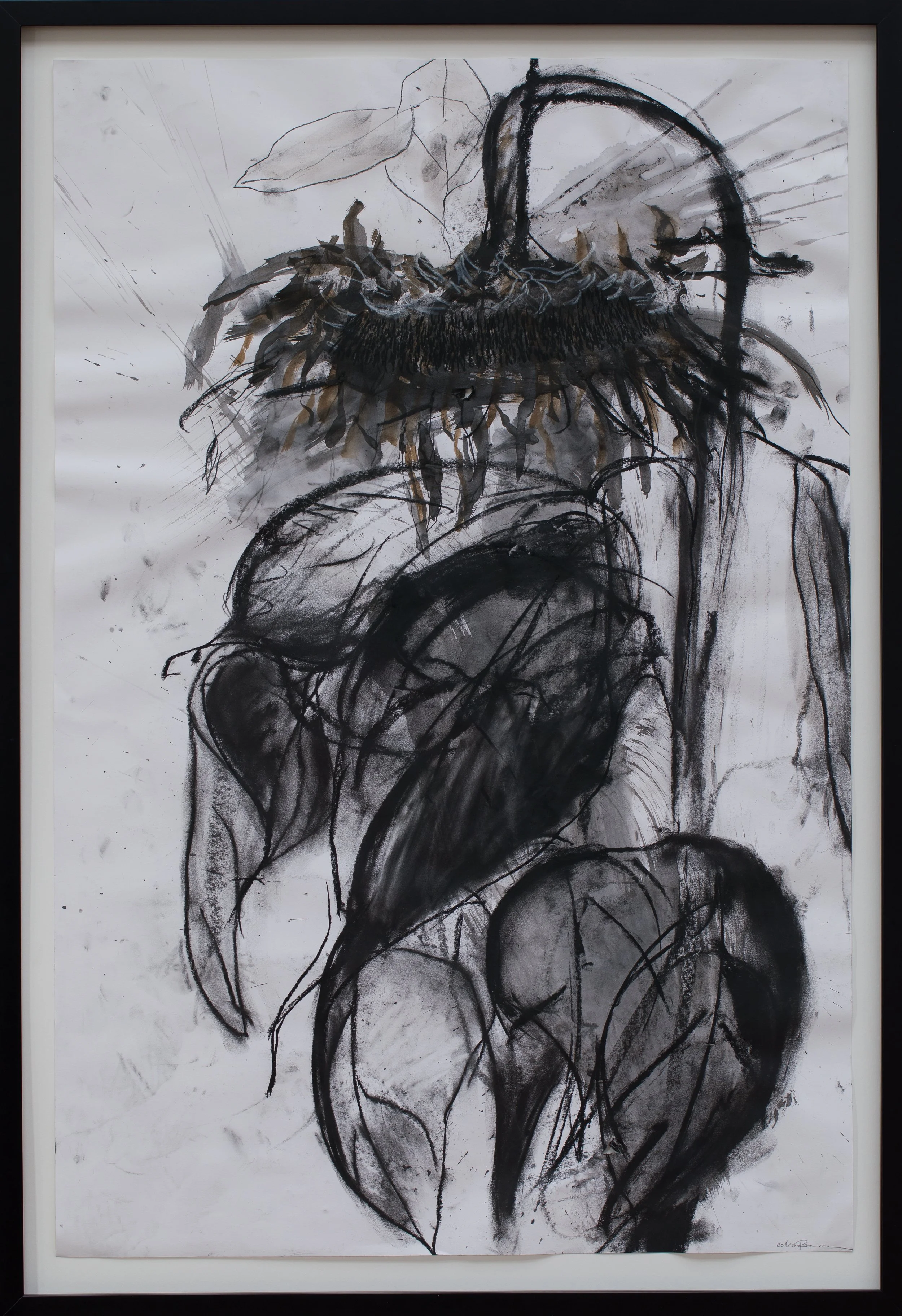 The Day They Overturned Roe, 2023, 36%22 x 24%22 charcoal and ink on paper .jpg