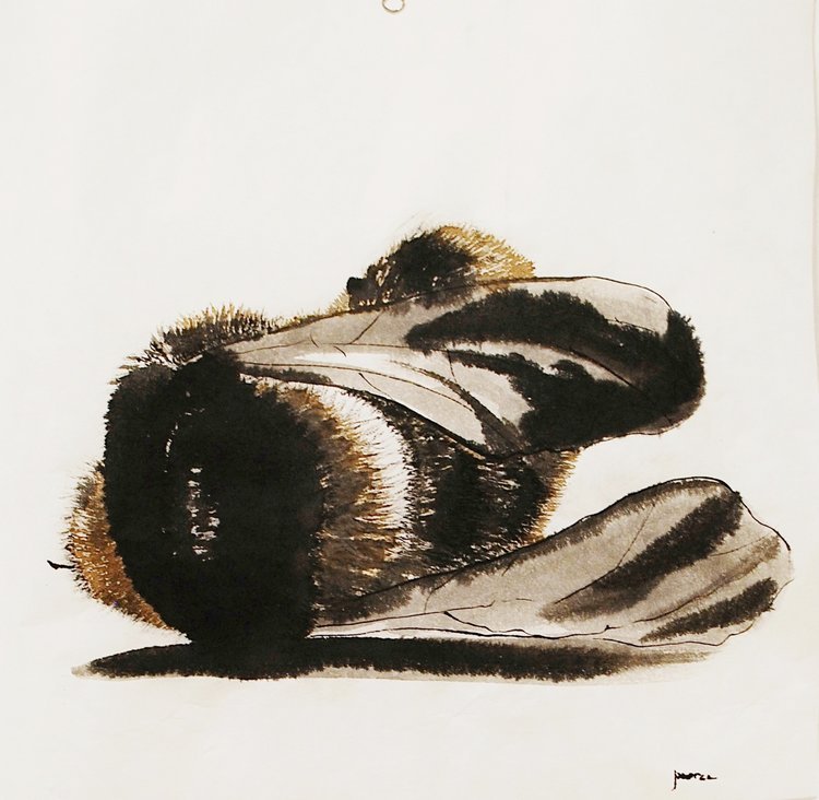 Elegy for the Earth: Chapter One
sumi-e and walnut ink on rice paper, 22"x22"