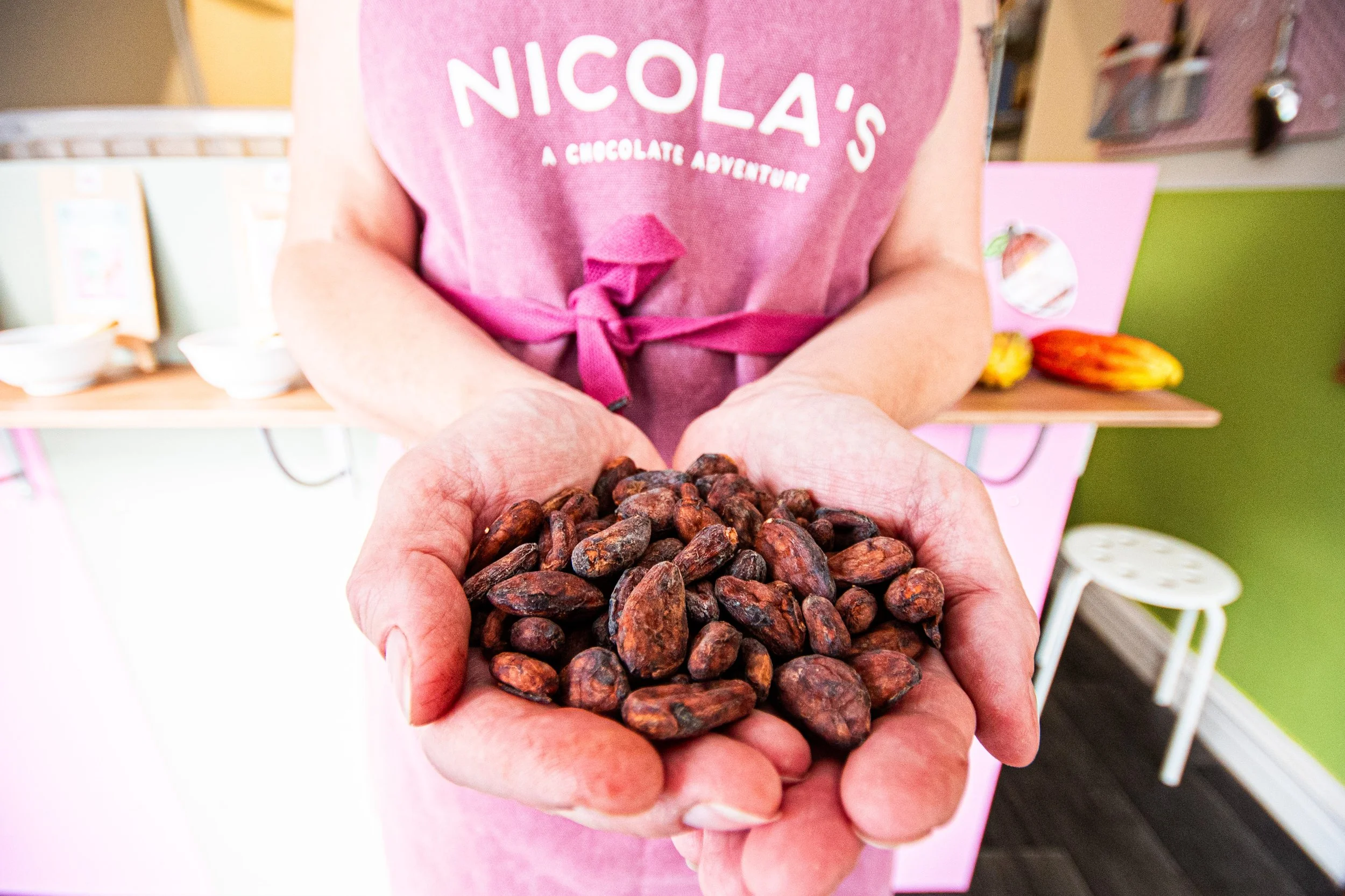 Nicola's Chocolate holding cocoa beans