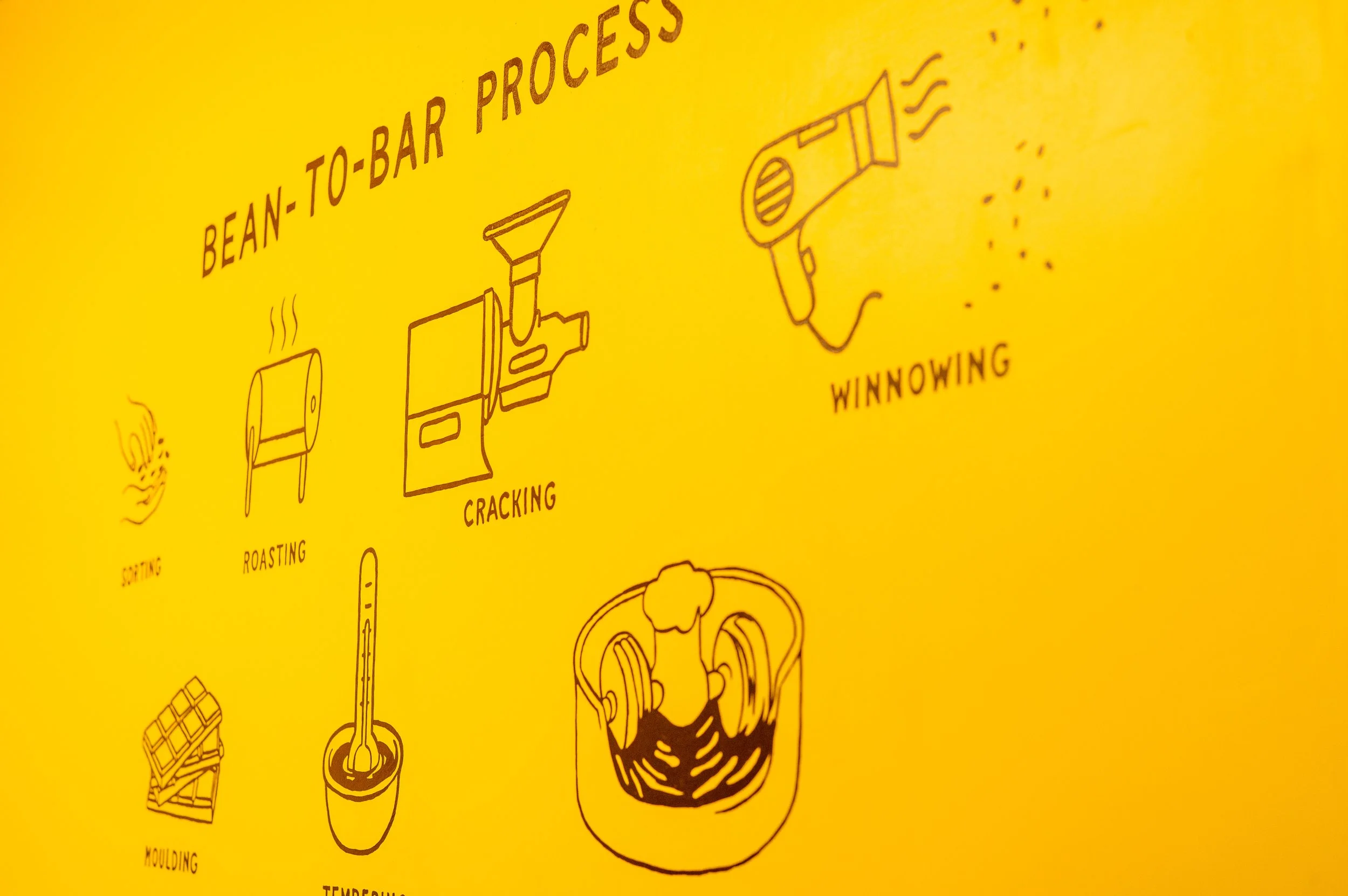 Nicola's Chocolate Making Process