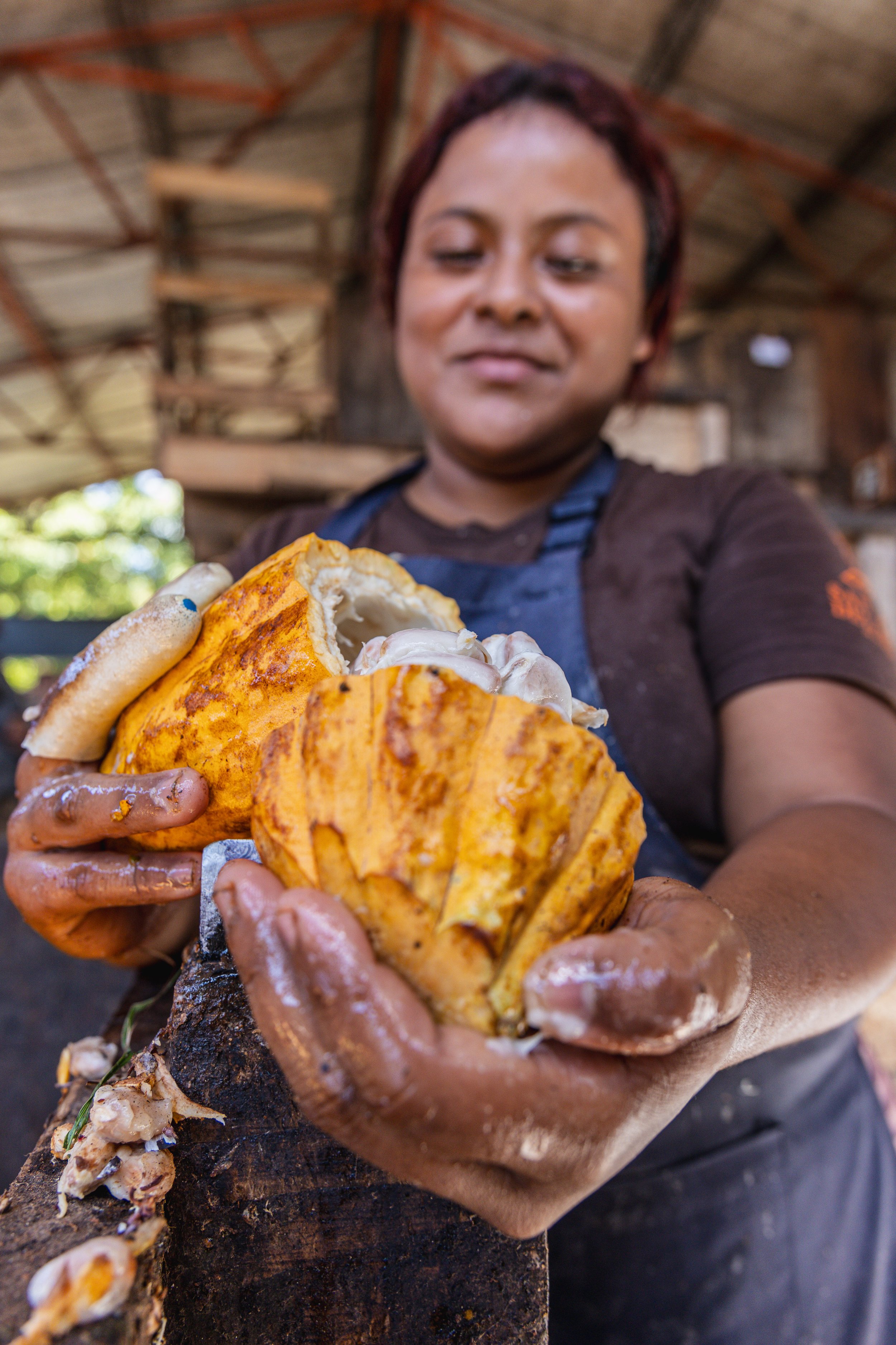cacao pod being opened in El Salvador