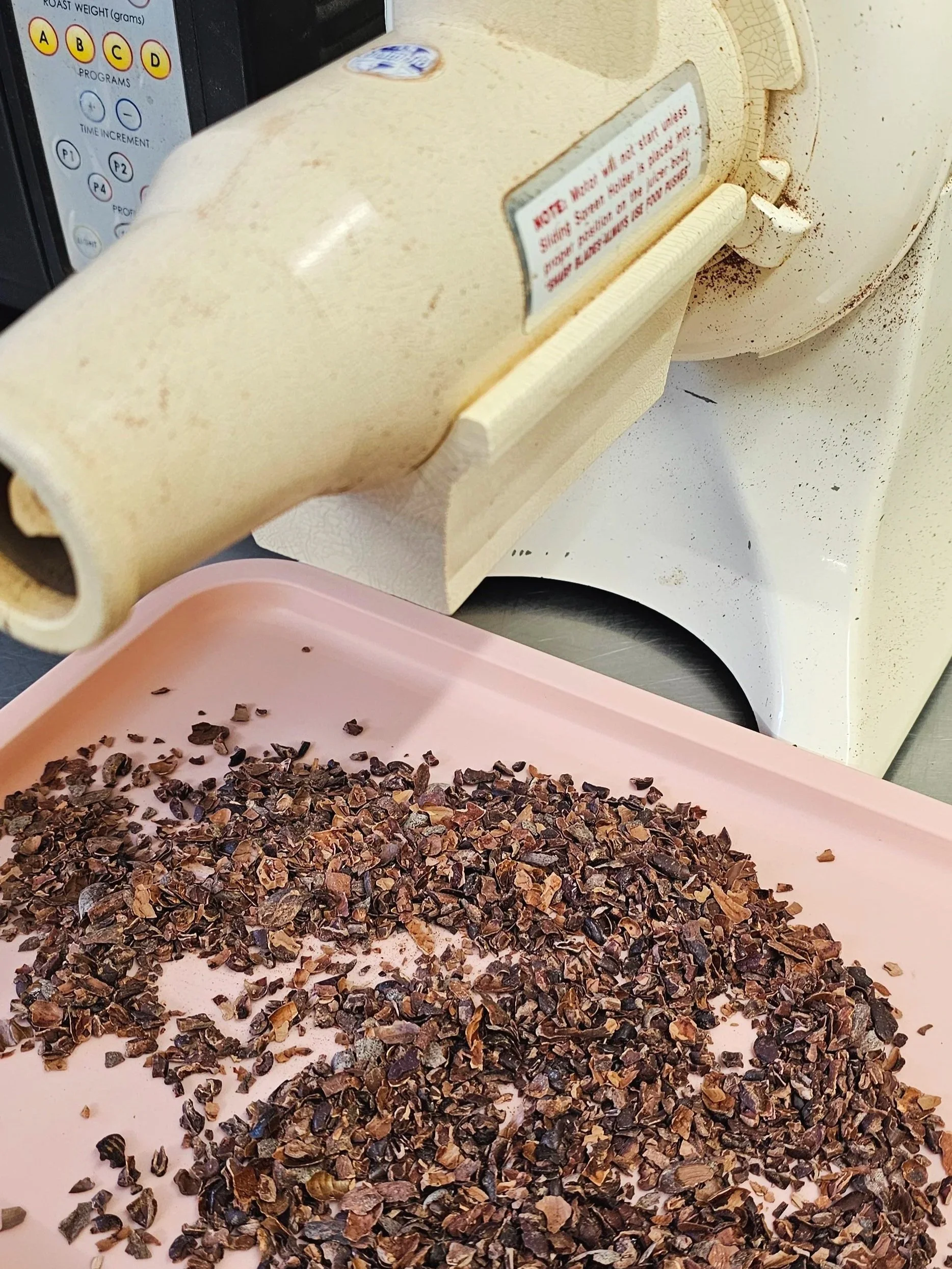 Close-up of a Champion juicer and some cracked cocoa beans.
