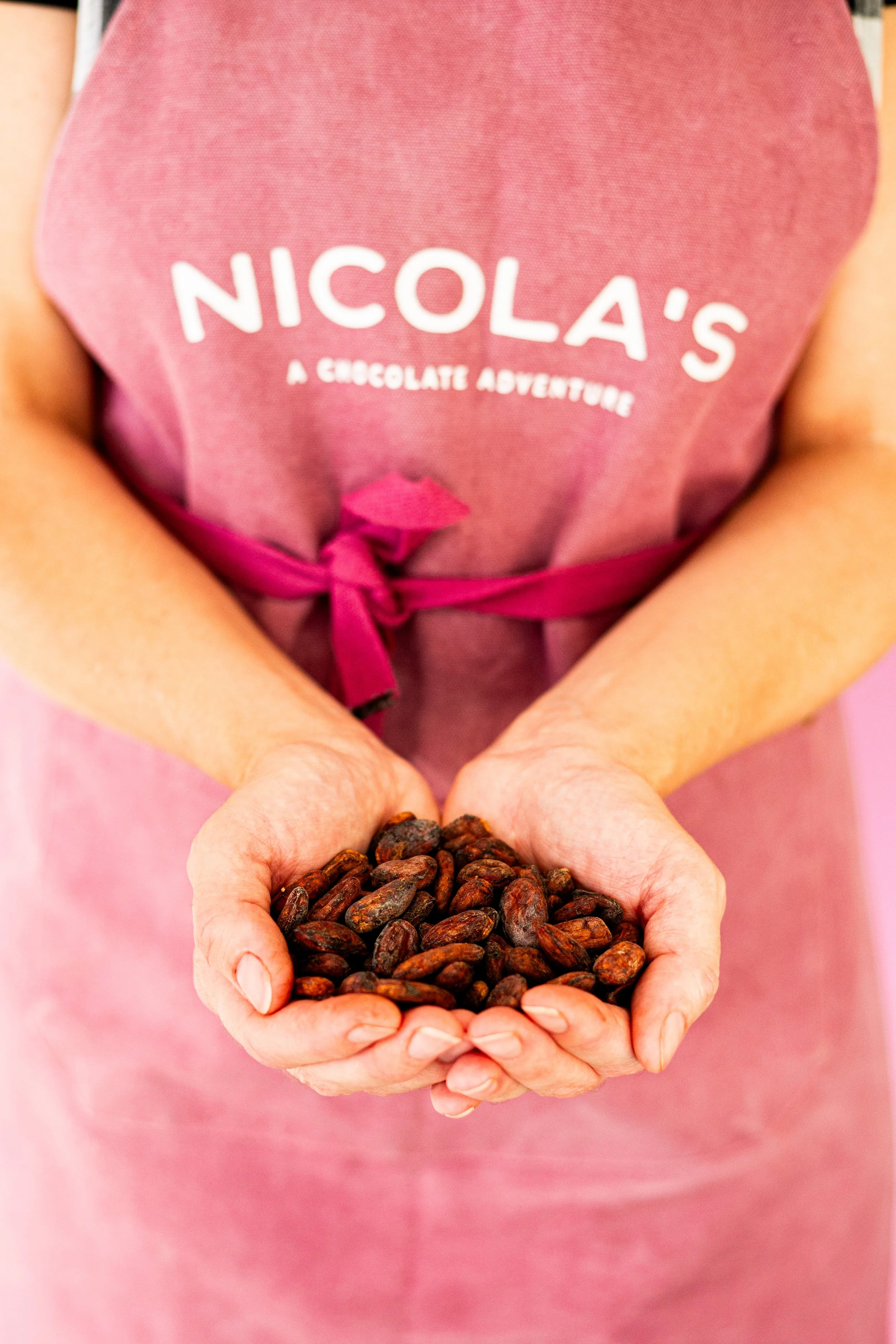 The Self-Taught Bean-to-Bar Chocolate Maker - Ebook