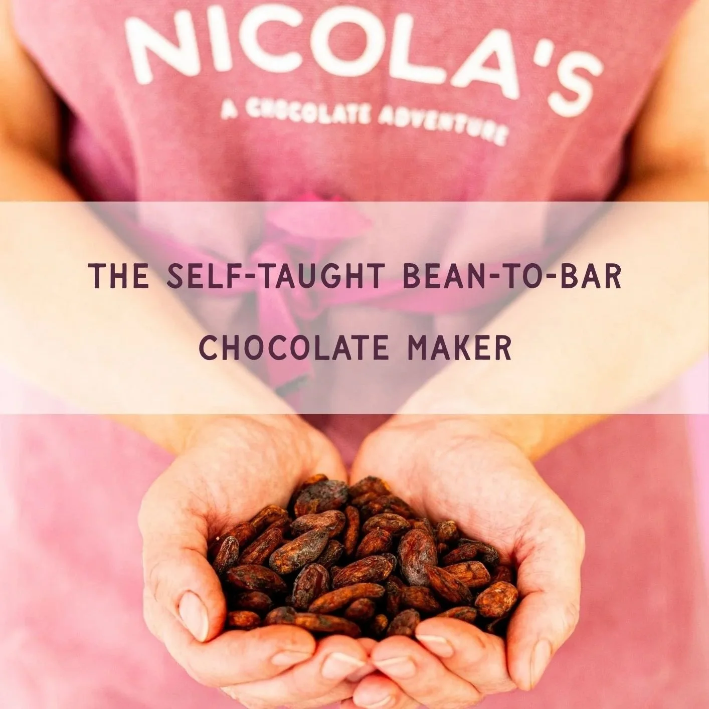 The Self-Taught Chocolate Maker by Nicola Knight
