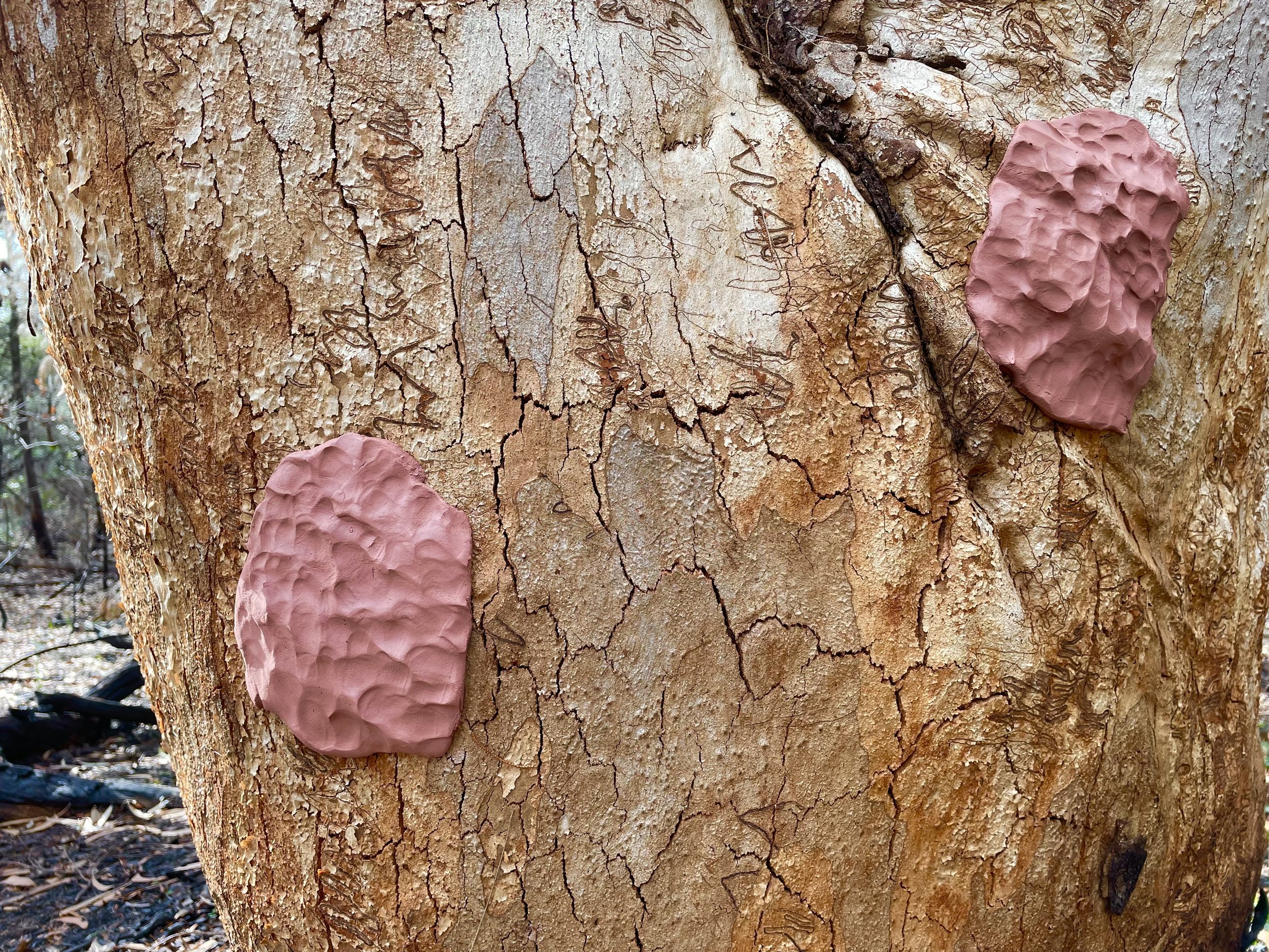 Pressed clay tree marks.