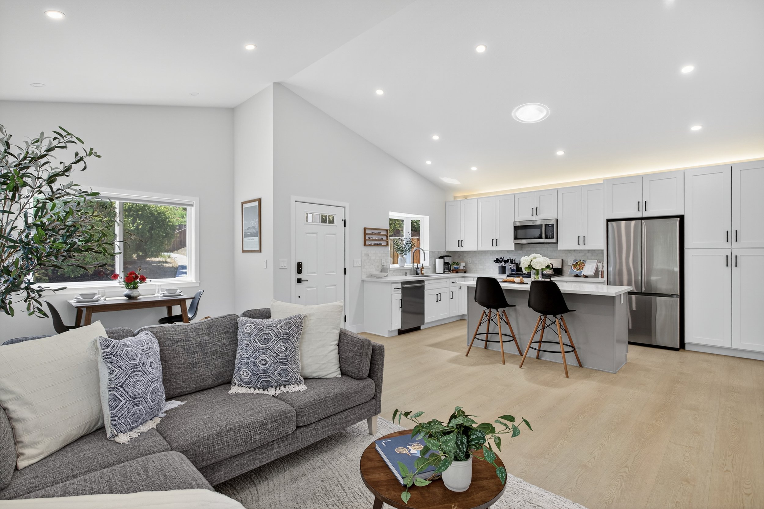 ADU interior perspective from the TV.