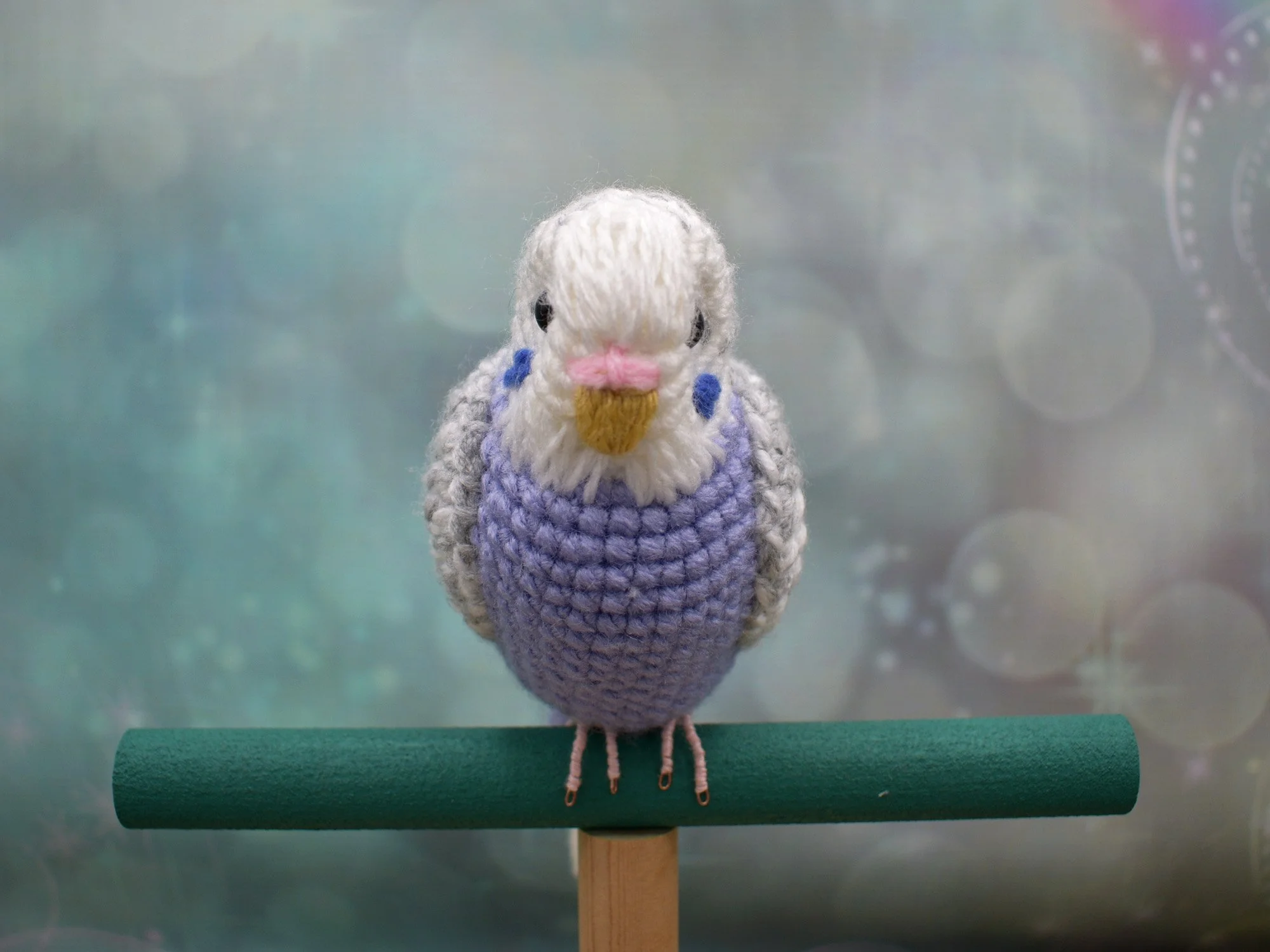 DSC_0010.JPG