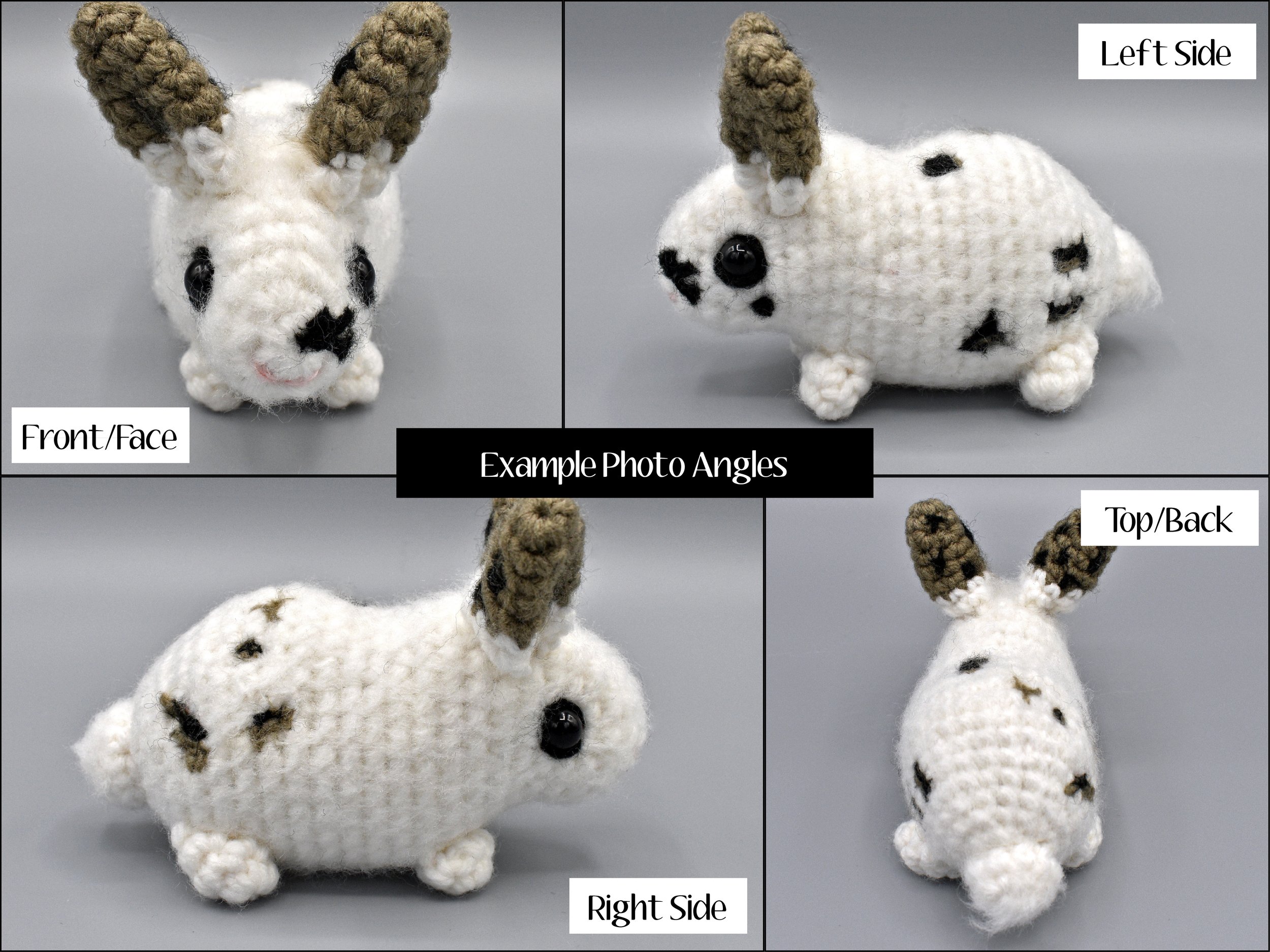 Rabbit_Ref.jpg