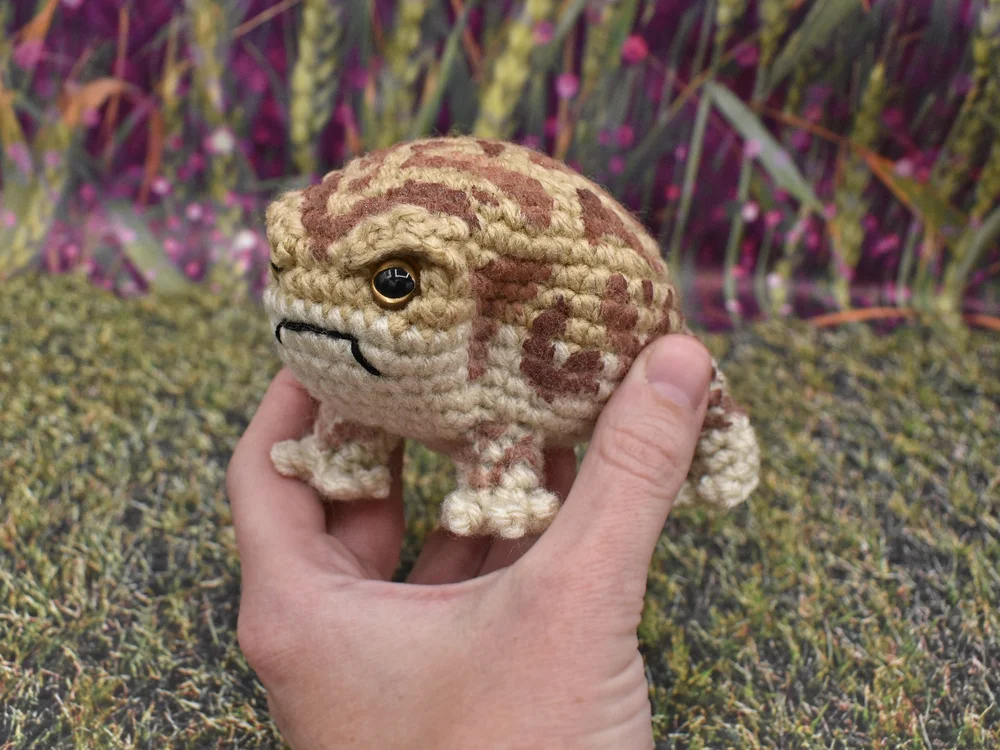 Painted Angry Rain Frog (Made-to-Order) — Kendra's Crafty Crafts