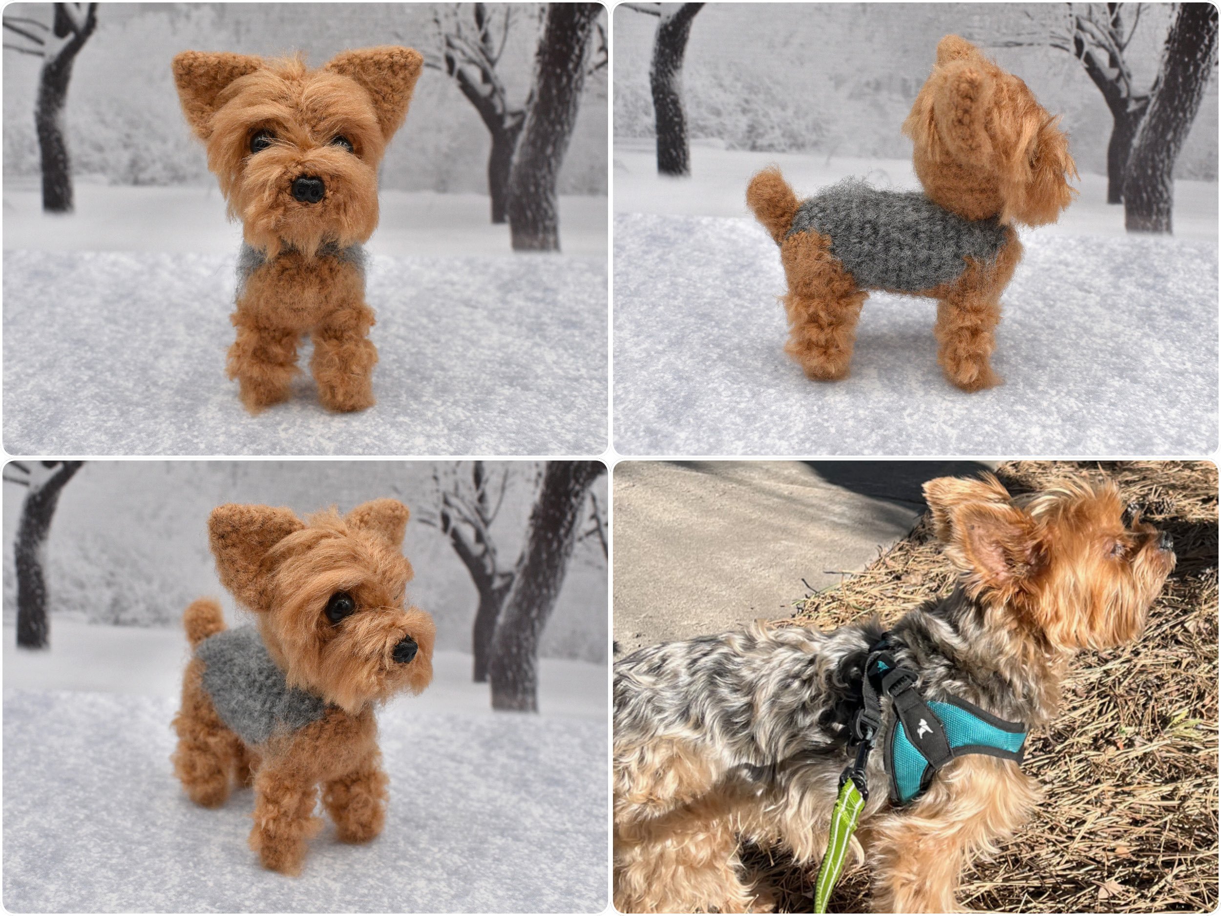 YorkieGrid.jpg