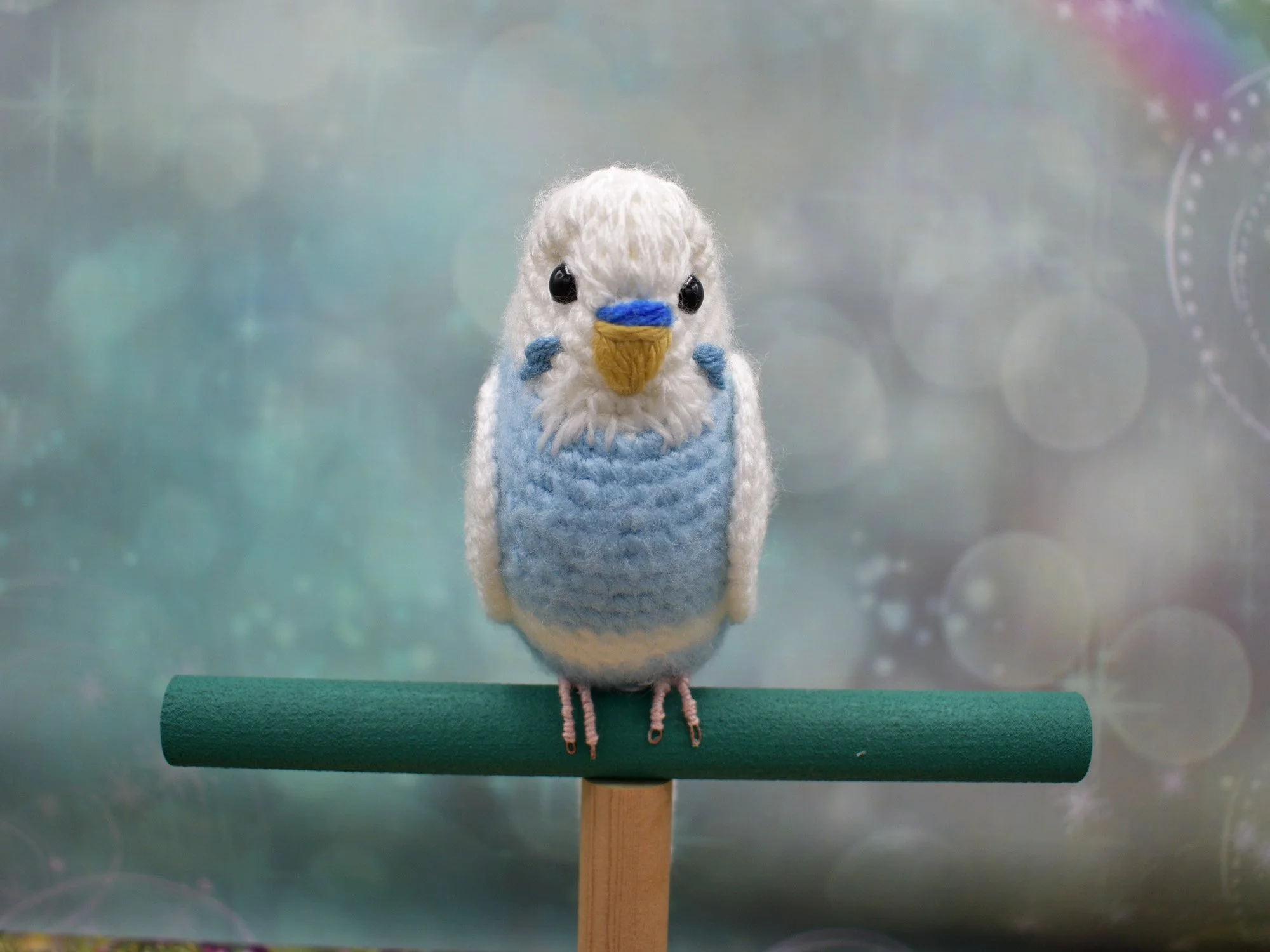 DSC_0004.JPG