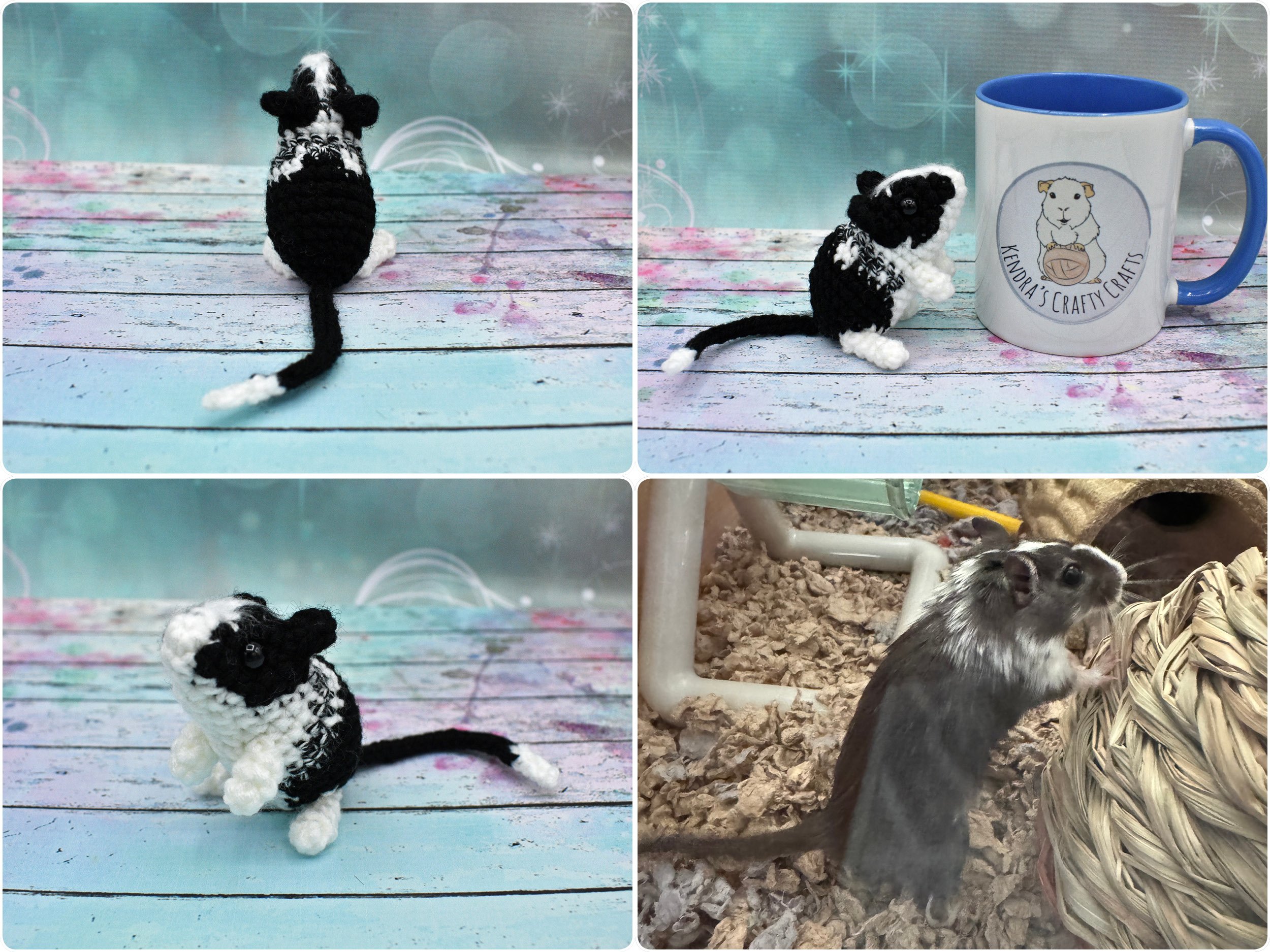 MeekoGrid.jpg