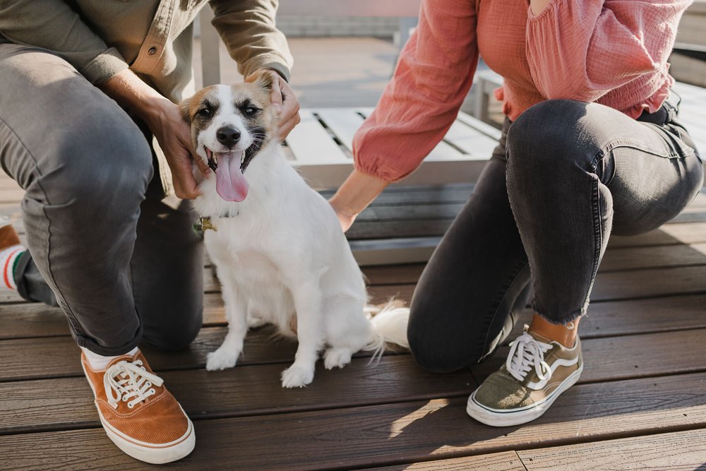 Philadelphia rooftop engagement photos with dog