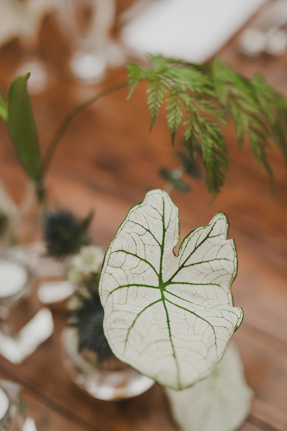 White and green tropical wedding flowers