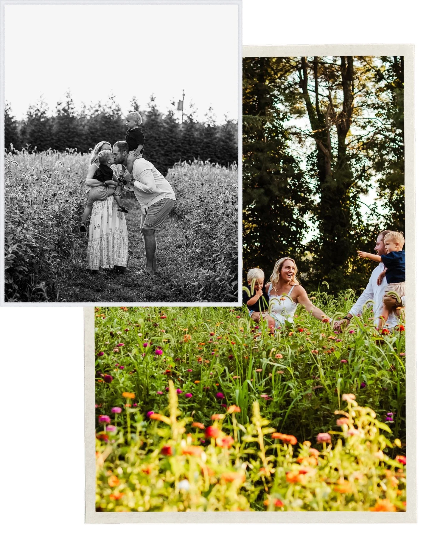 Fall season = busy season 🍁 

The last 3 weeks have been hectic with my business and also life in general and I have fallen behind with my social media posting. It&rsquo;s always one of the tougher parts of my job, trying to keep up with everything 