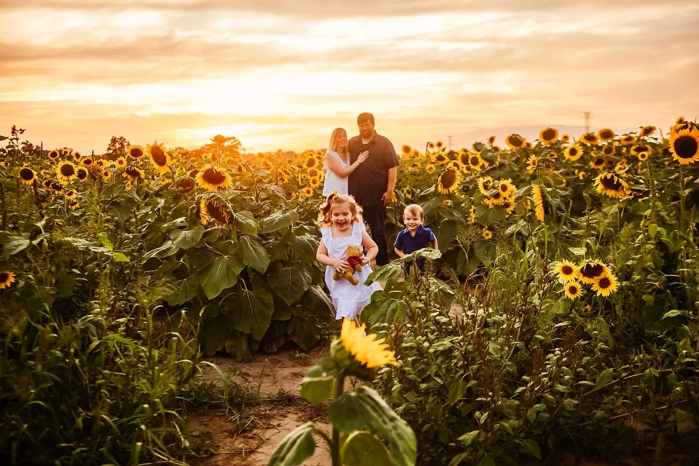 Cannot wait to share all of these beautiful sunflower sessions that I had 🌻 🌻🌻🌻🌻🌻🌻

@fabulousflowerfarm 

#southjerseylifestylephotographer #southjerseyfamilyphotography #southjerseyfamilyphotographer #southjerseylifestylephotography