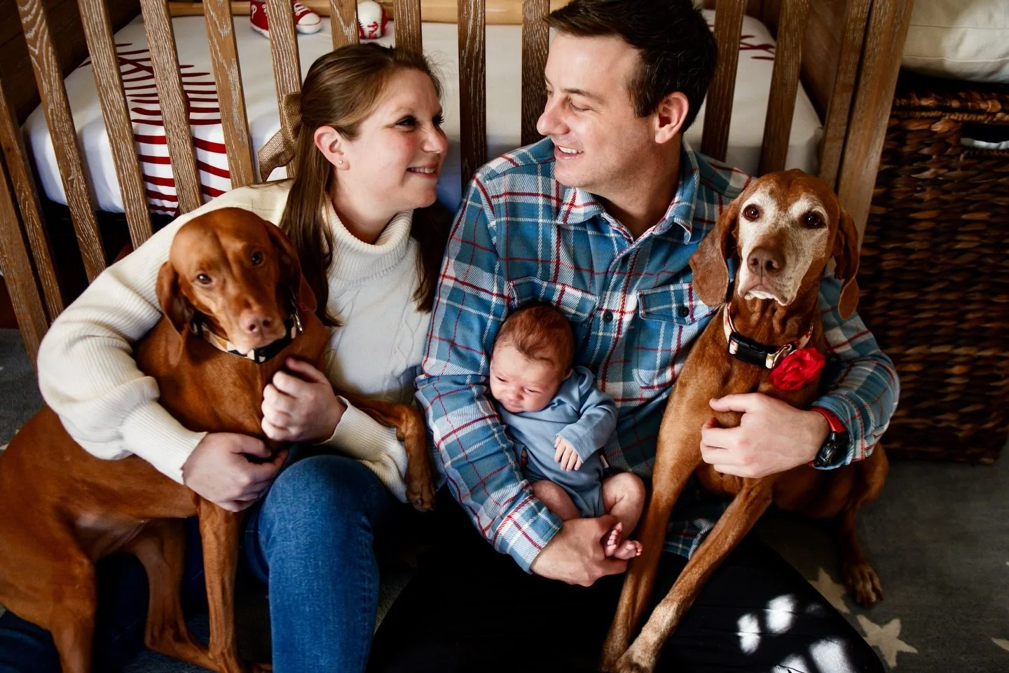 Love when the fur babies get in the pics 🐾✨

#southjerseyphotographer #cherryhillnjphotographer #haddonfieldnjphotographer #inhomenewbornsession #inhomelifestylephotography
