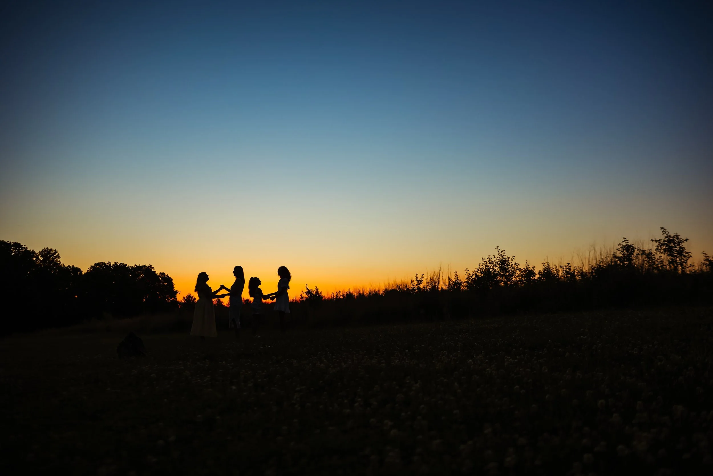 Warmer evenings and sunset skies = more silhouettes 
🌅✨🌅✨

#southjerseyfamilyphotography #southjerseyfamilyphotographer #southjerseylifestylephotographer #southjerseyphotographer #silhouettephotography