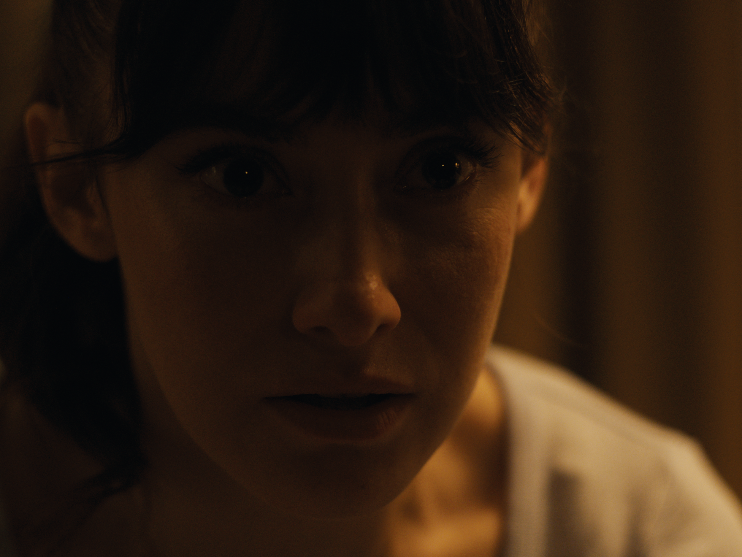 Tom Ford Director of Photography_Narrative Film_Cat Lady00008.PNG