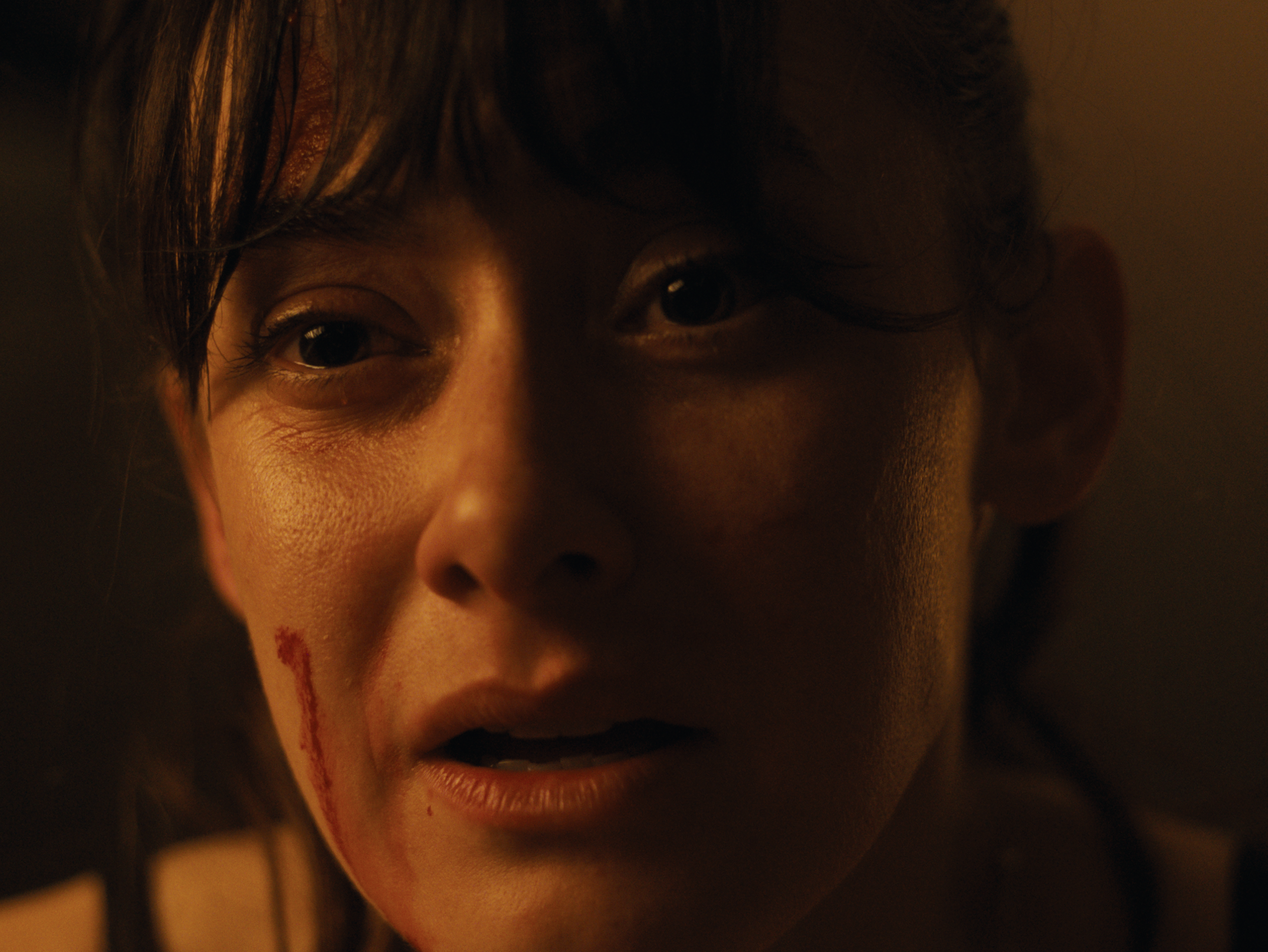 Tom Ford Director of Photography_Narrative Film_Cat Lady00005.PNG