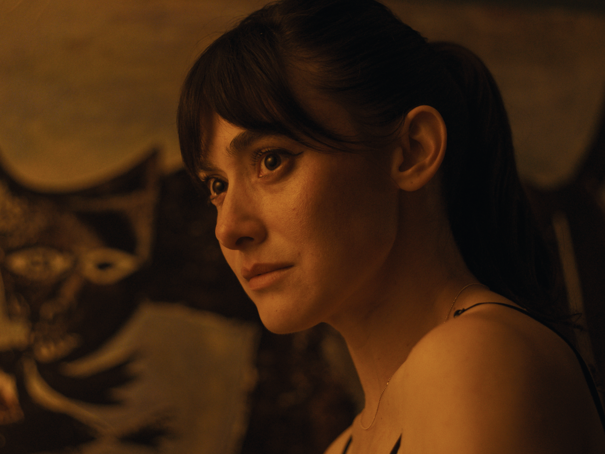 Tom Ford Director of Photography_Narrative Film_Cat Lady00006.PNG