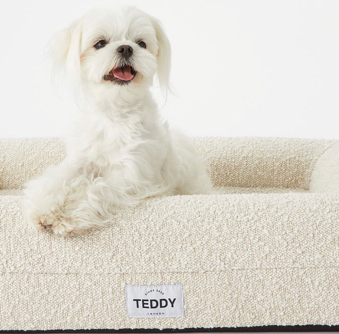 Teddy Dog Bed