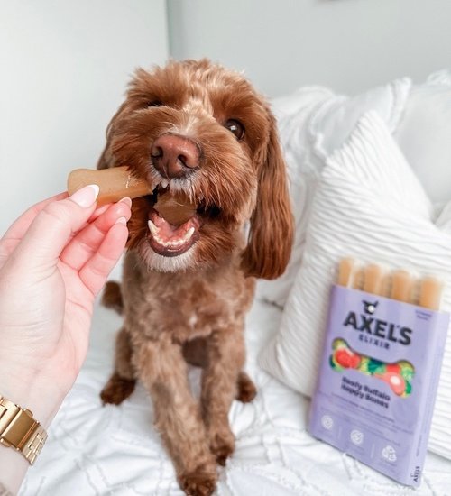 🛒 Best Ice Lollies You Can Buy in the UK