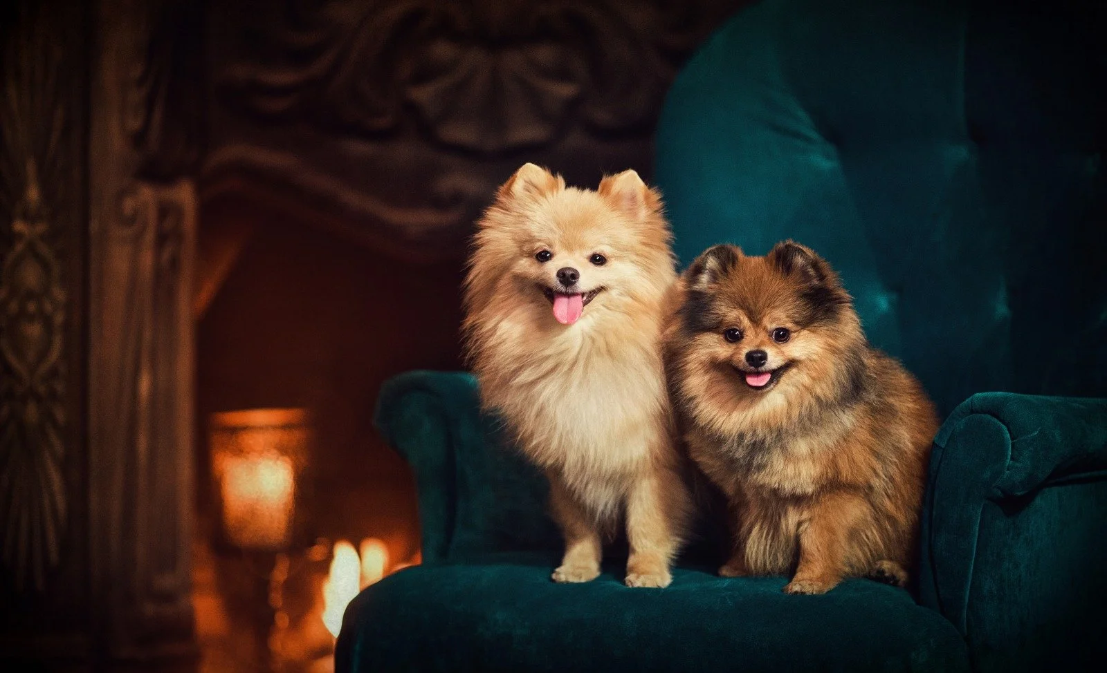 WhatsApp Image 2025-11-11 at 11.22.03.jpeg