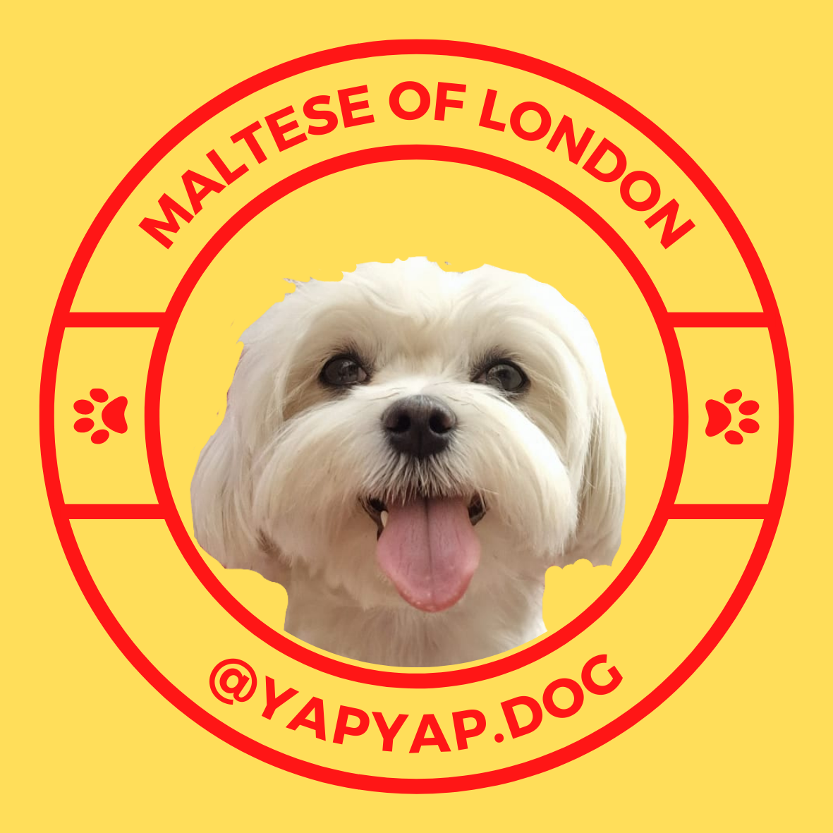 A circular logo with a yellow background, featuring a cute white Maltese dog with its tongue out in the center. The text around the circle reads 'Maltese of London' at the top and '@yapyap.dog' at the bottom, both in red. There are small red paw prints on each side of the circle.