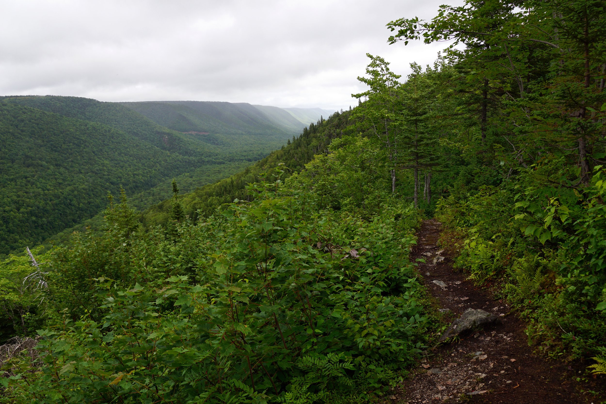 Aspy Trail, at the north of Cape Breton Islands National Park