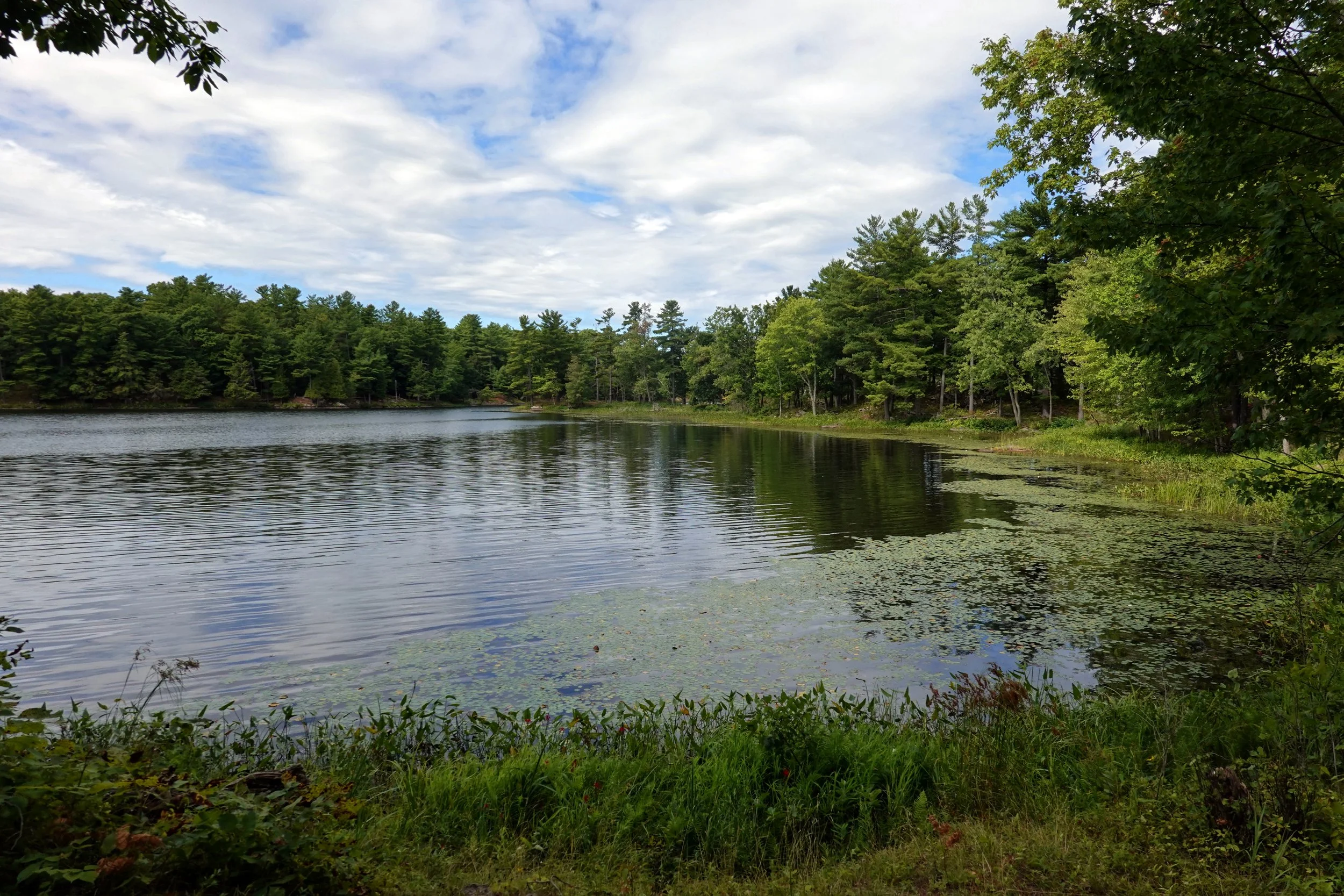 Doe Lake Trail