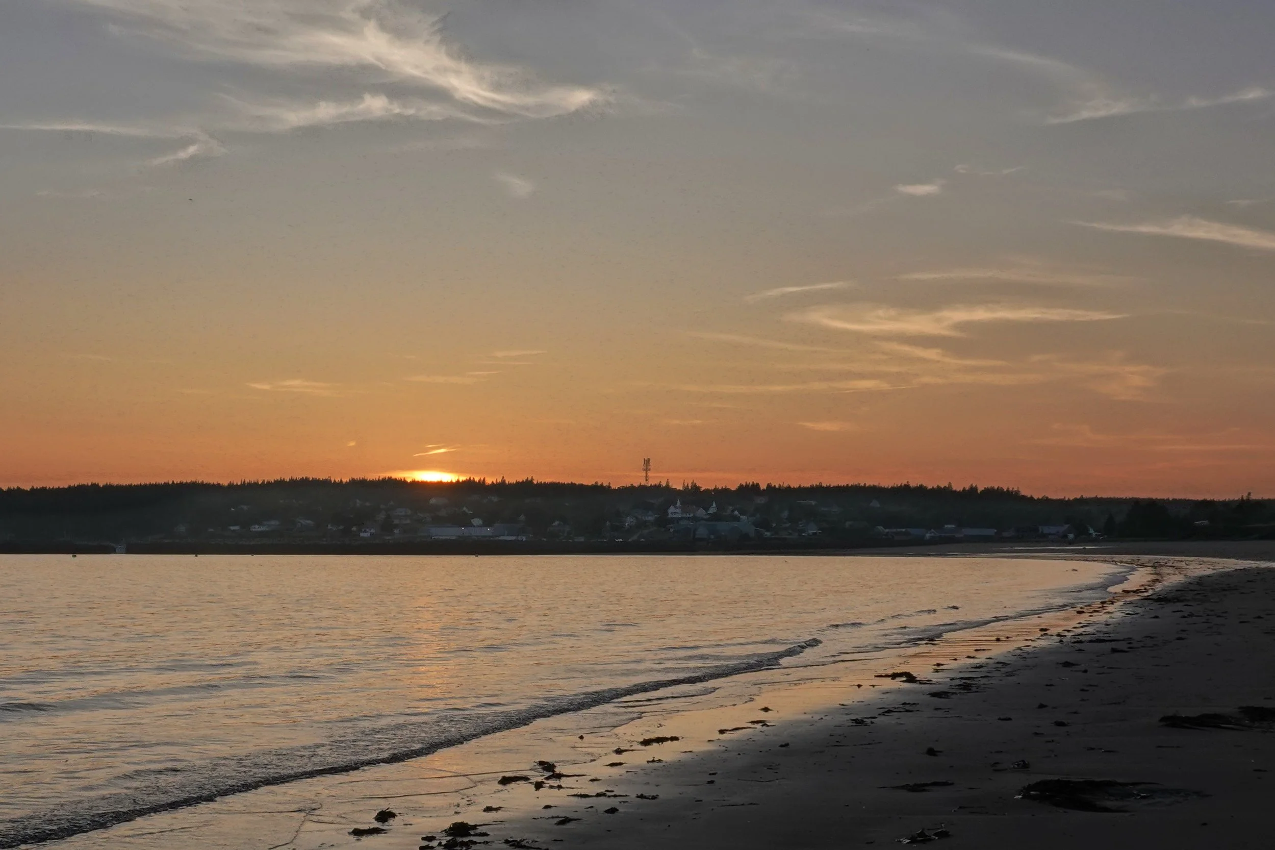 Seal Cove