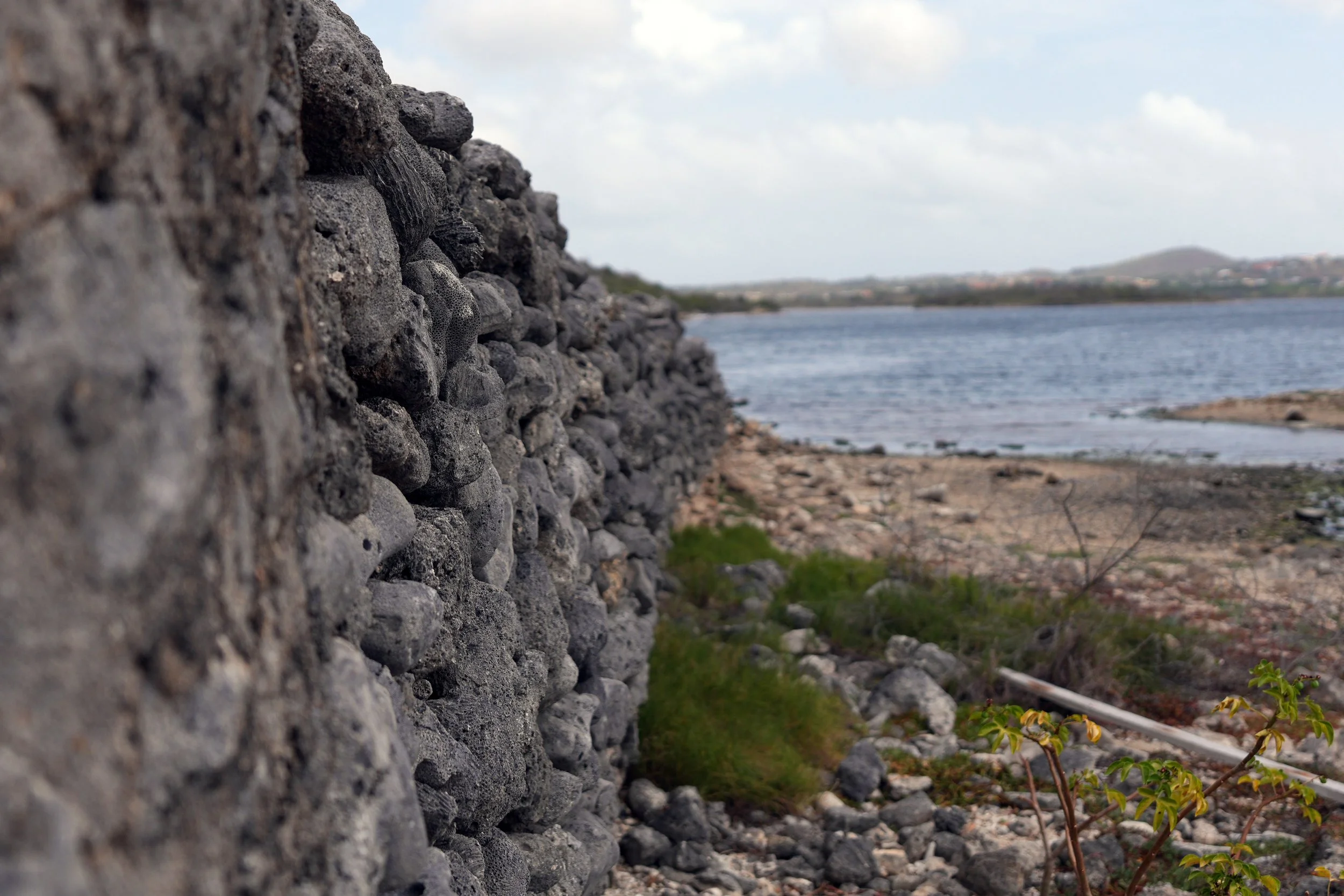 Stone Walled by Gemini