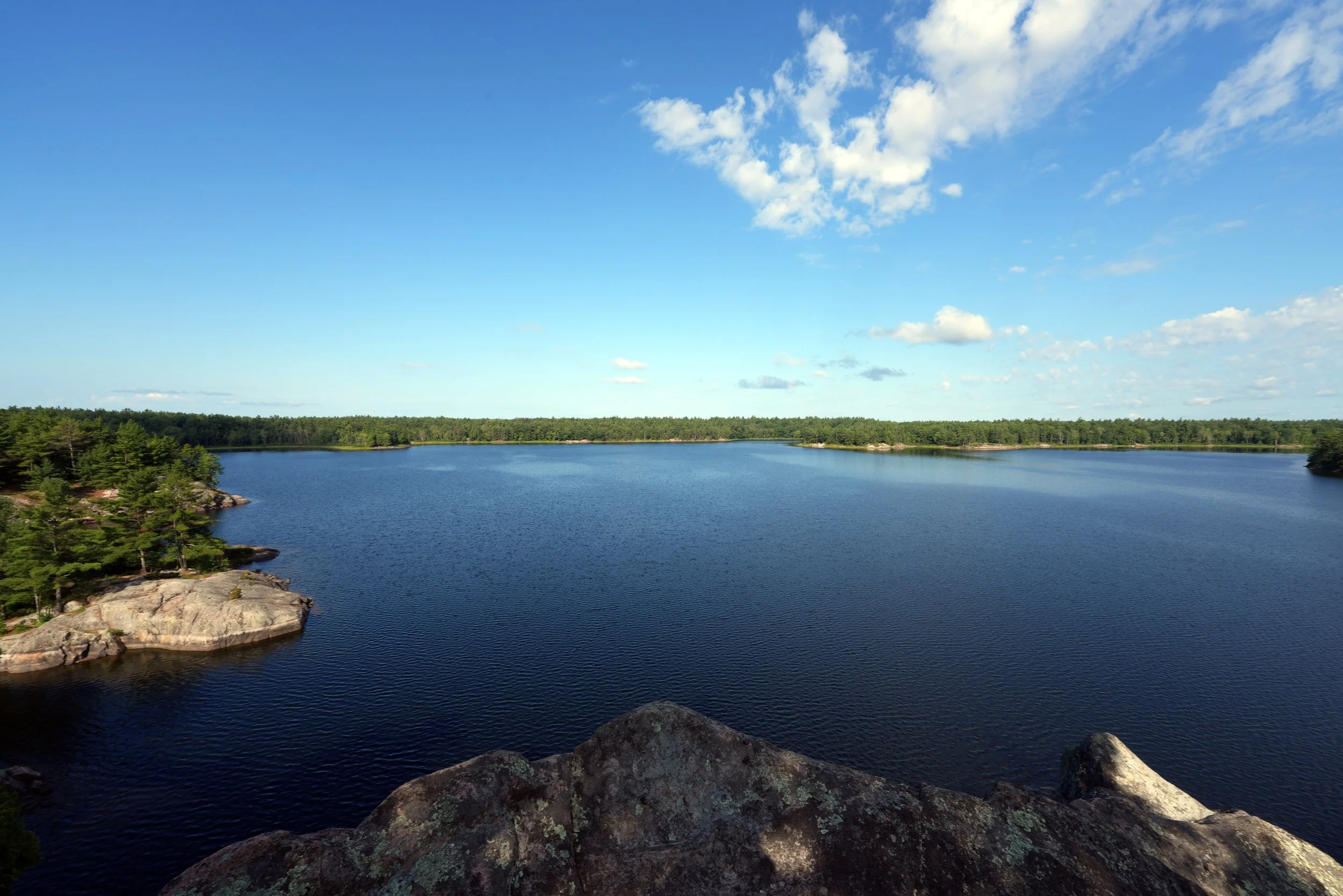 West of the McCrae Lake Conservation Reserve boundary