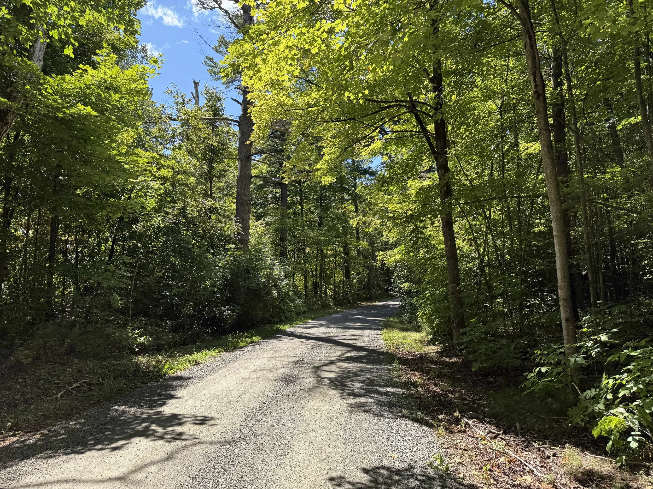 Smoky Fire Trail