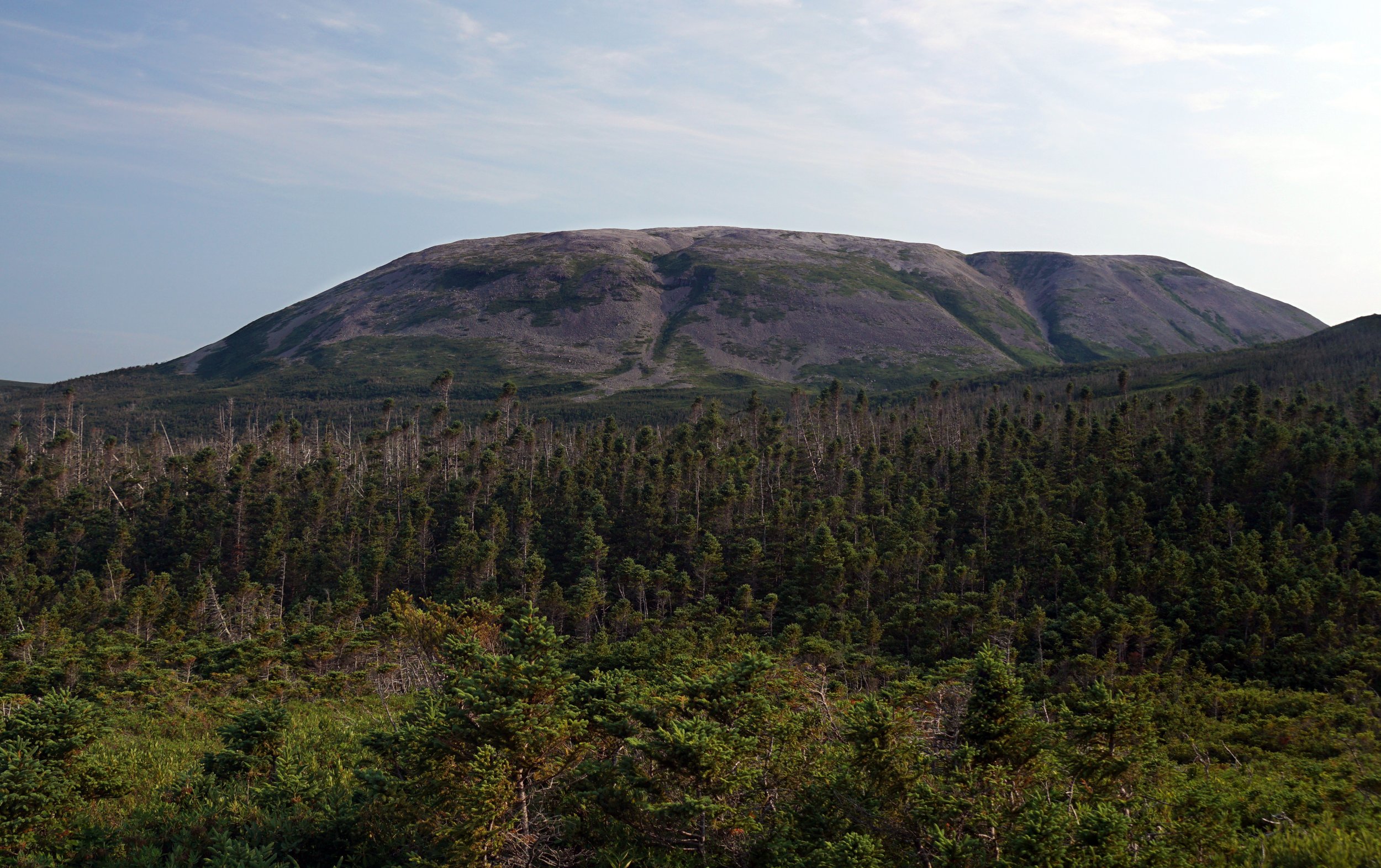 Gros Morne from James Callaghan Trail