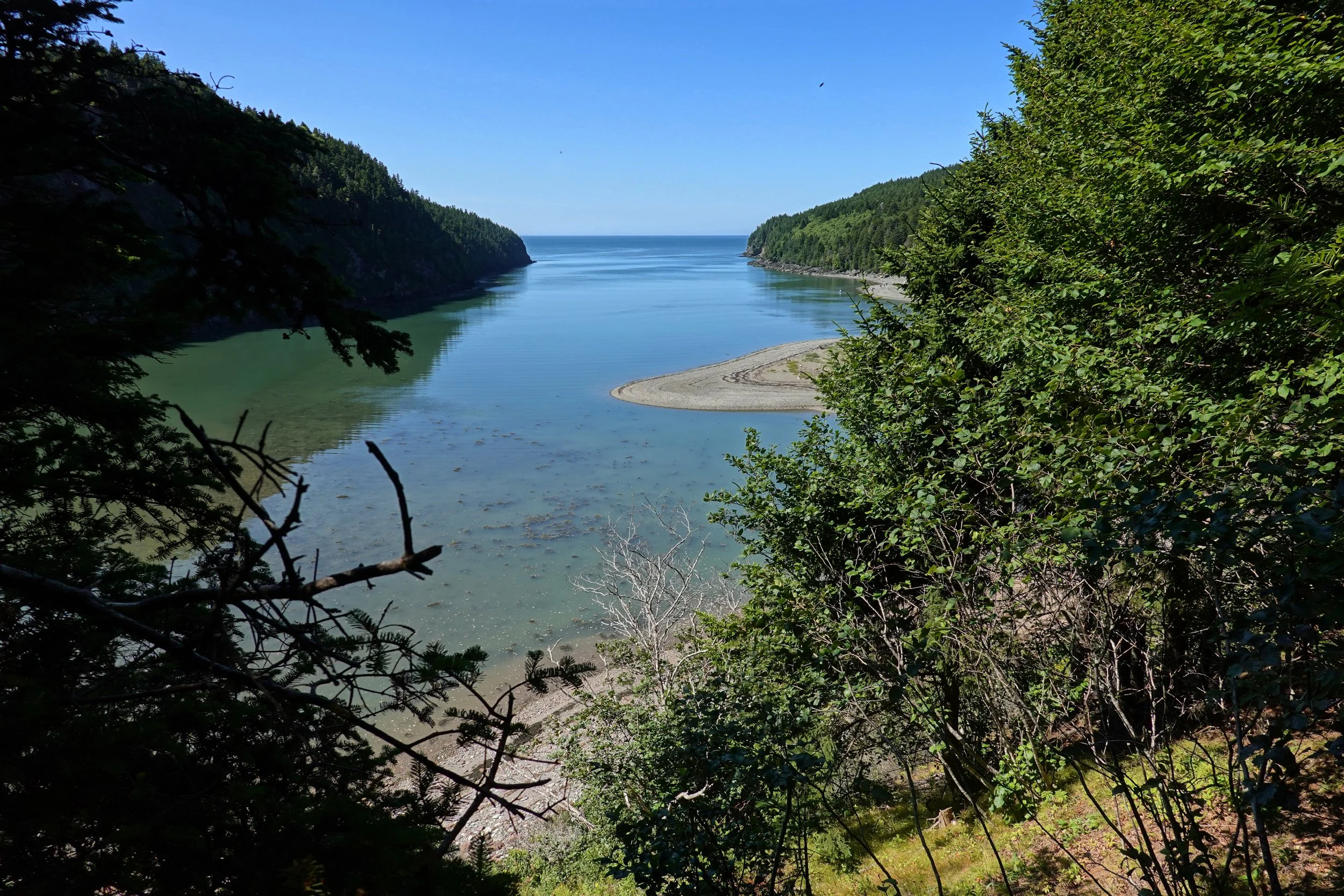 Riviere Point Wolfe from Shiphaven Trail