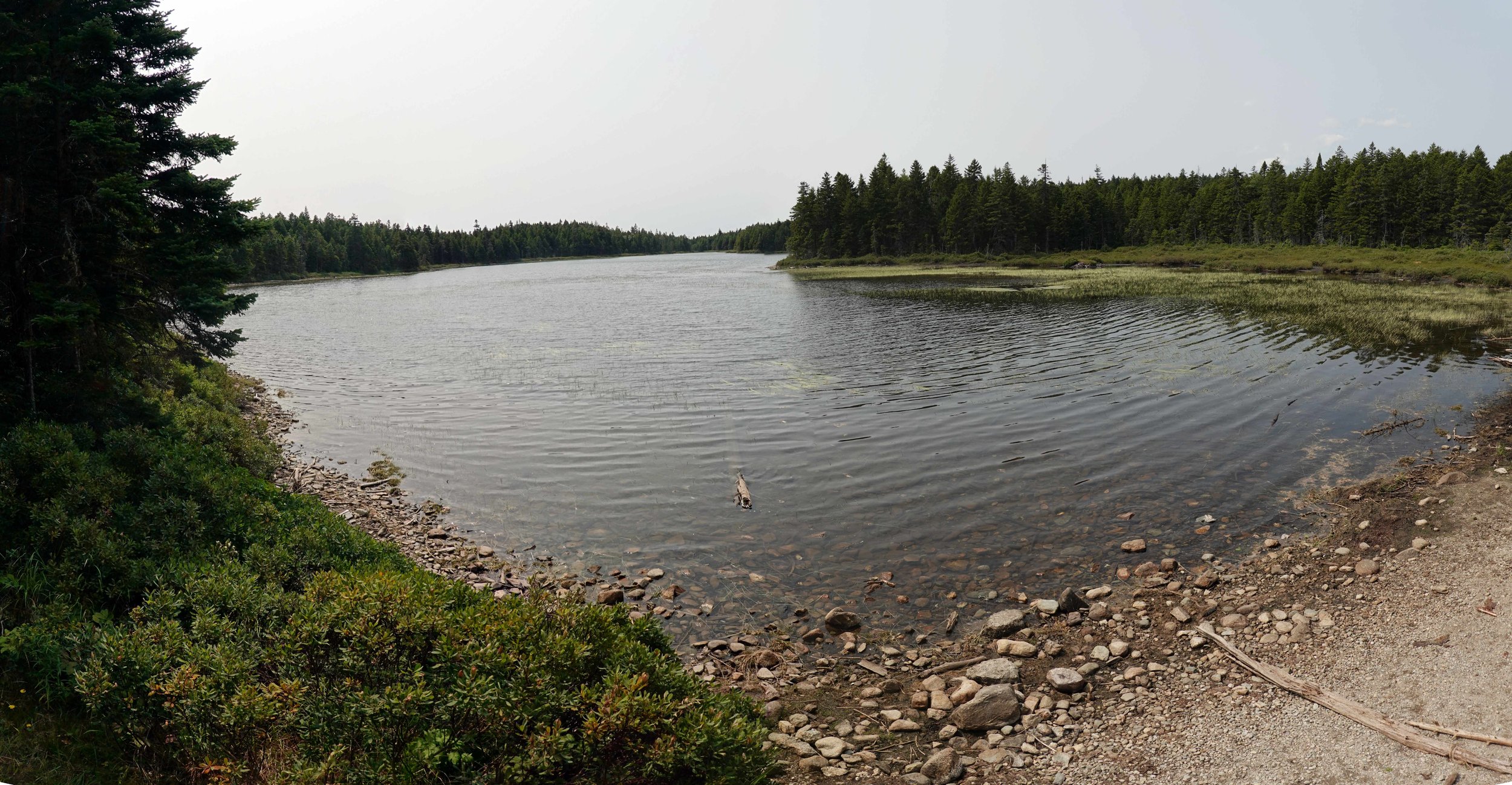 Tracey Lake