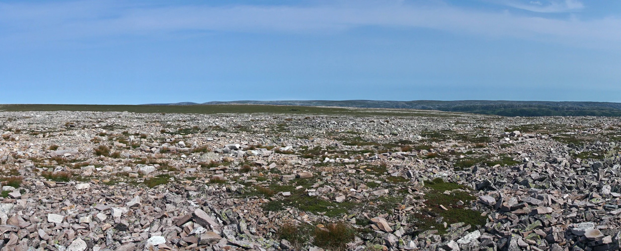 Atop Gros Morne