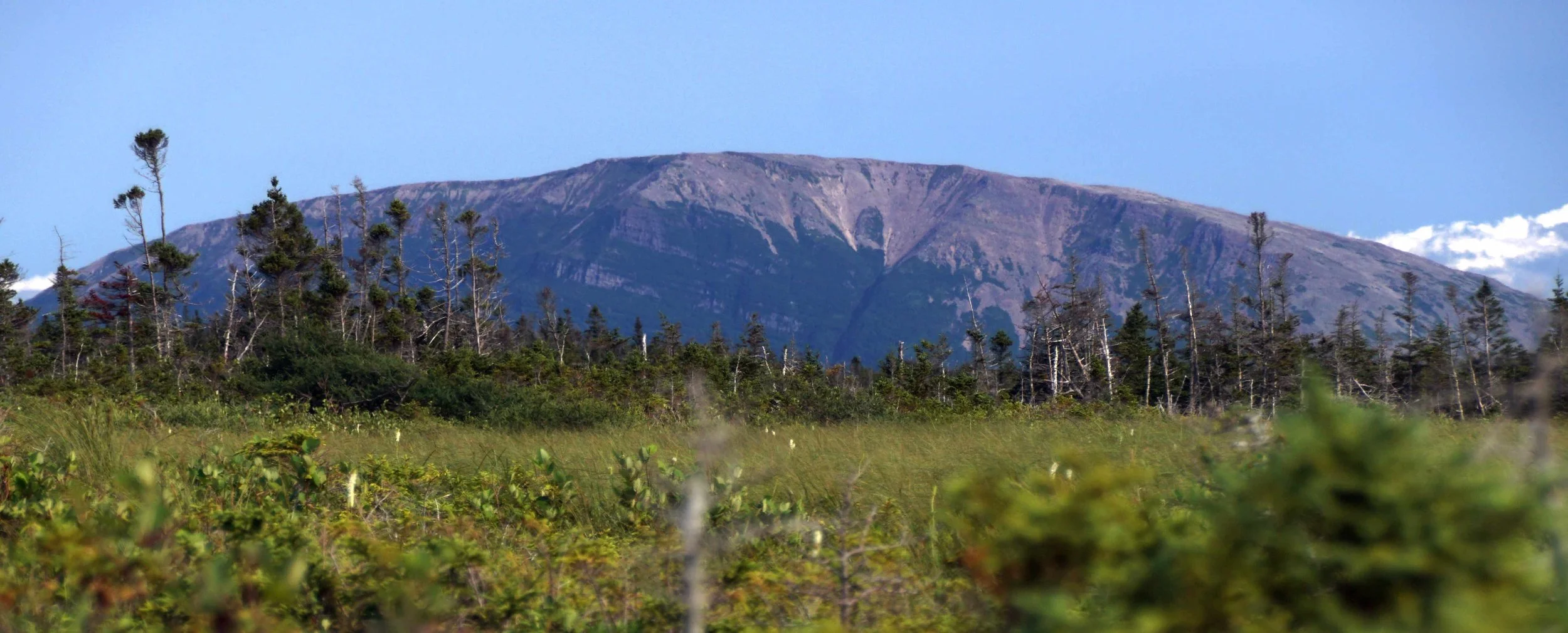 Gros Morne