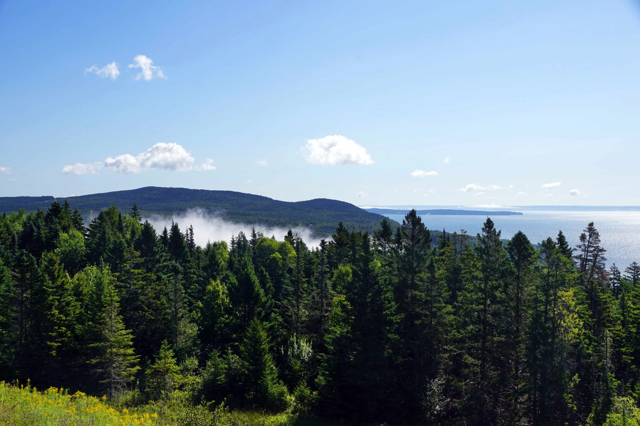 Bay of Fundy at lookoff near Alma