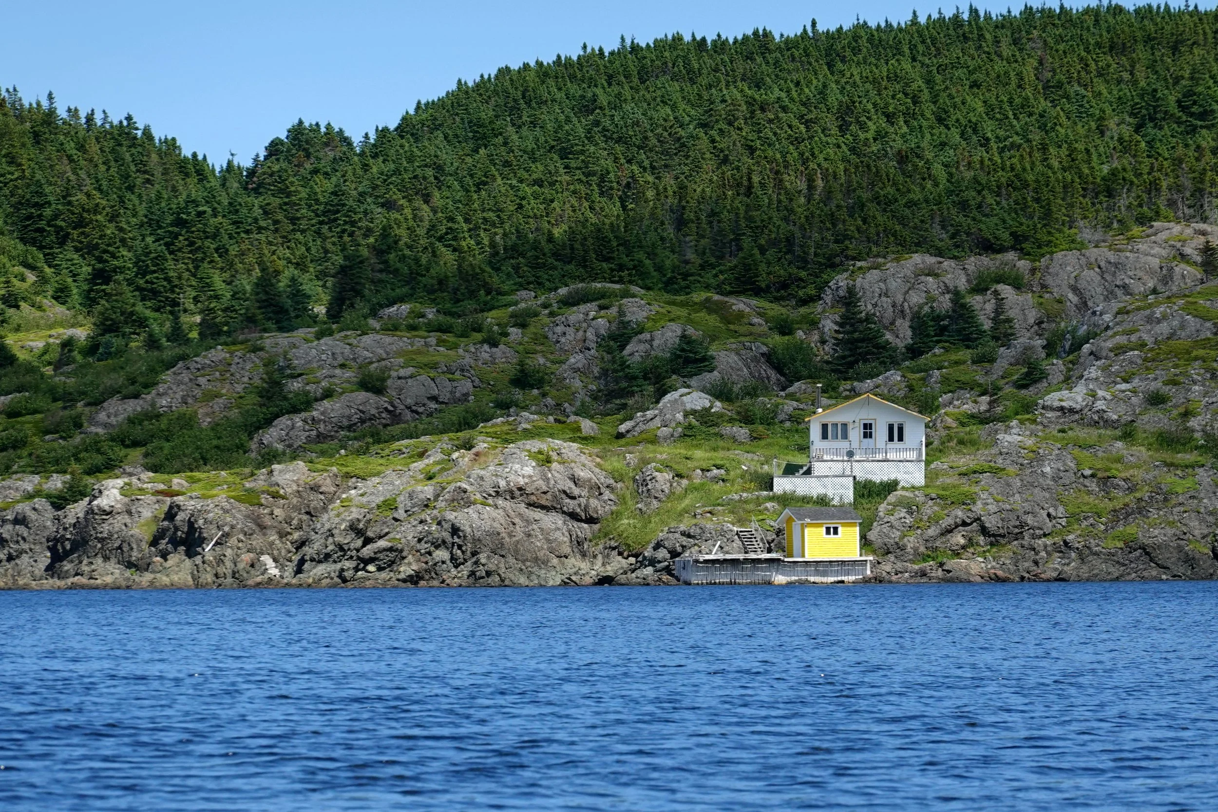 Shore of eastern Exploits Island in Upper Harbour