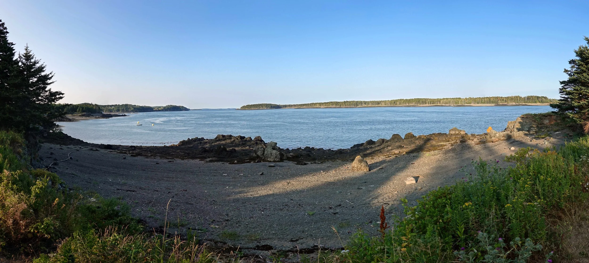 harbour-pana-medium.jpg