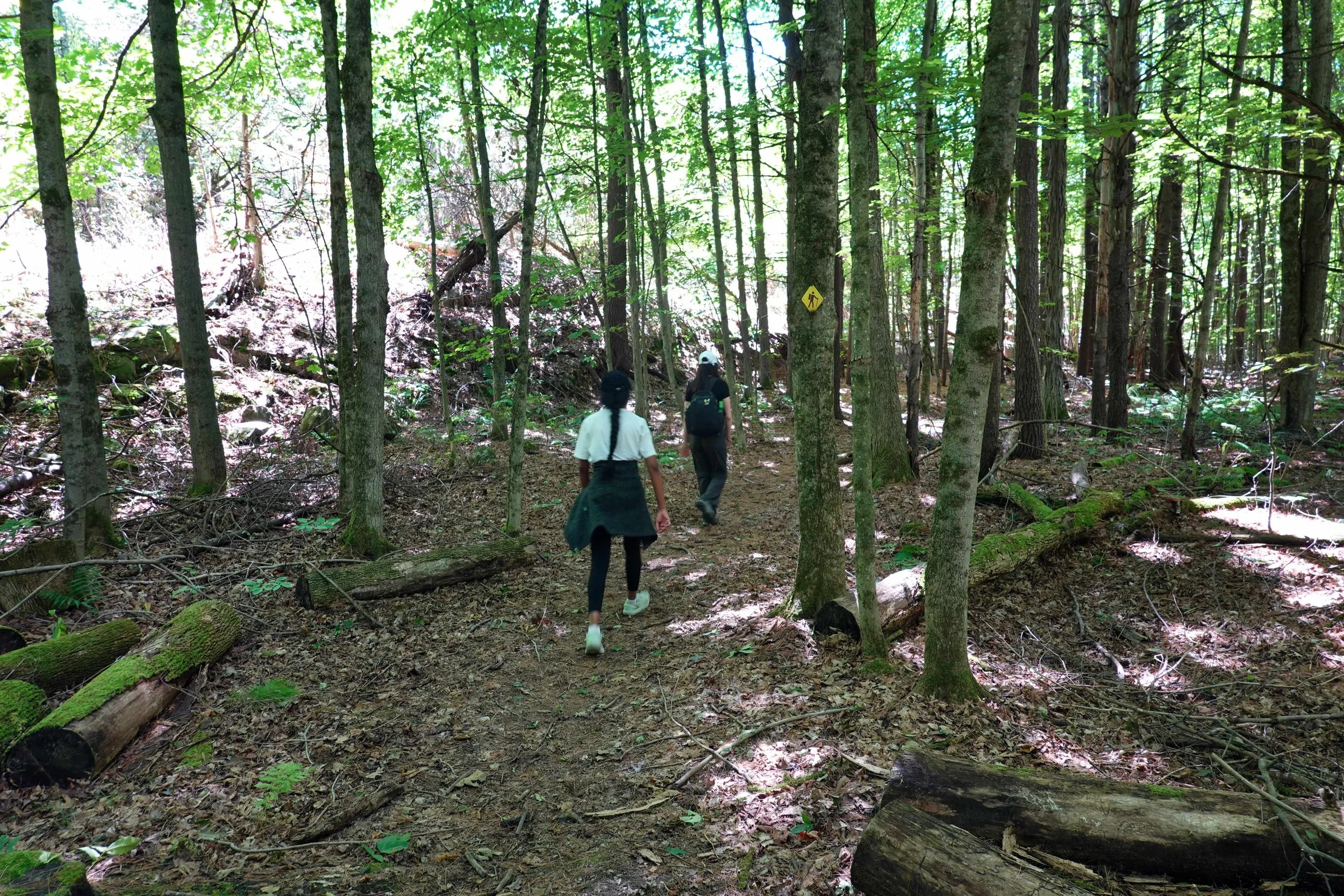 Donevan Trail