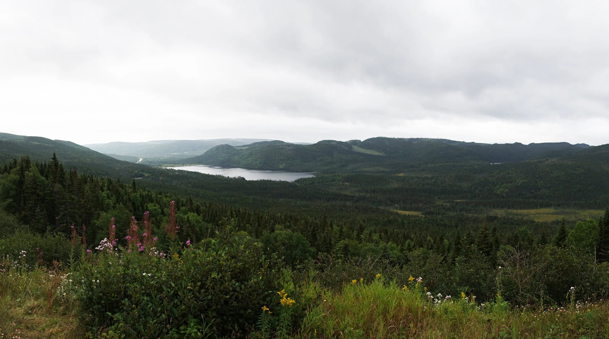 Bonne Bay Valley