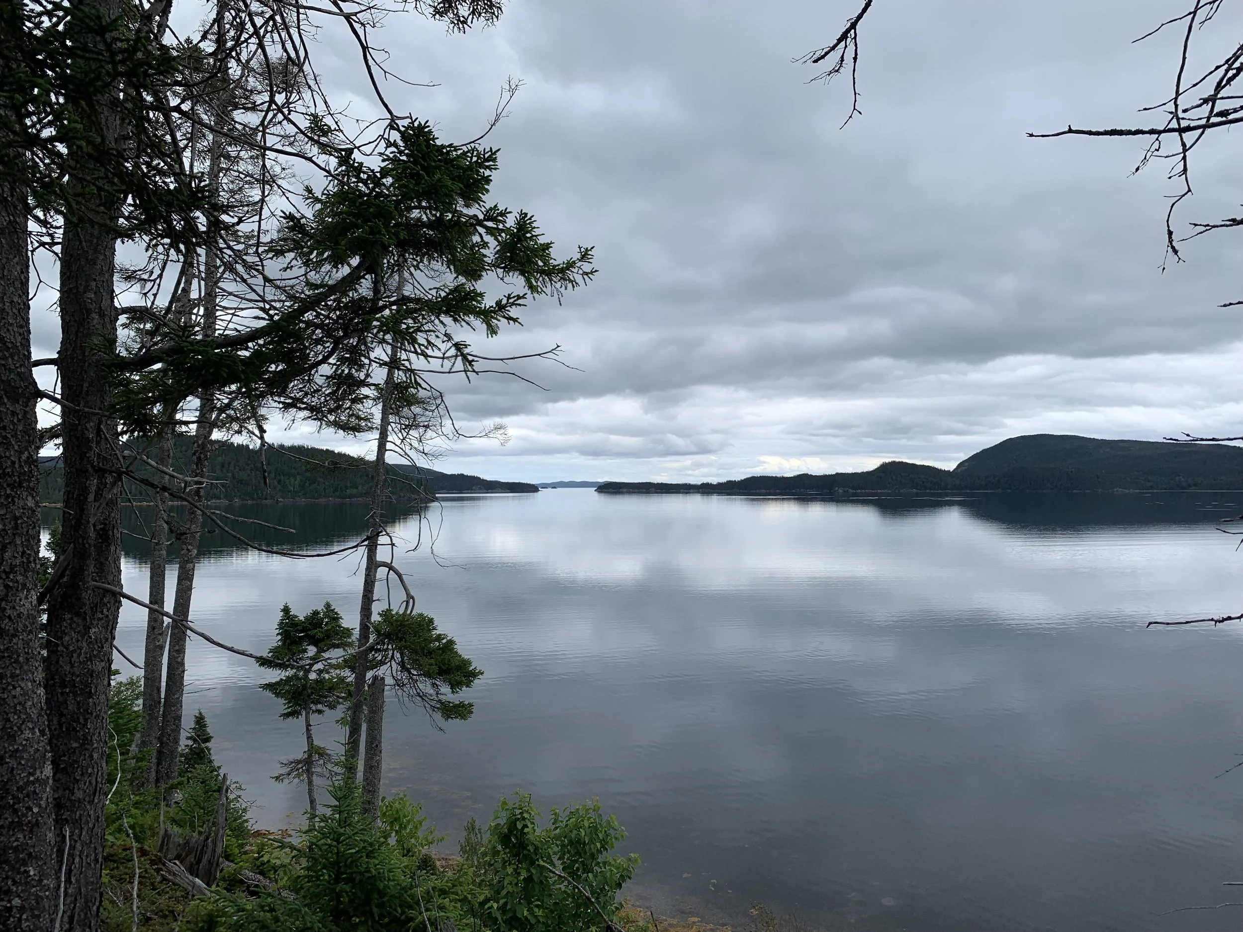 Coastal trail