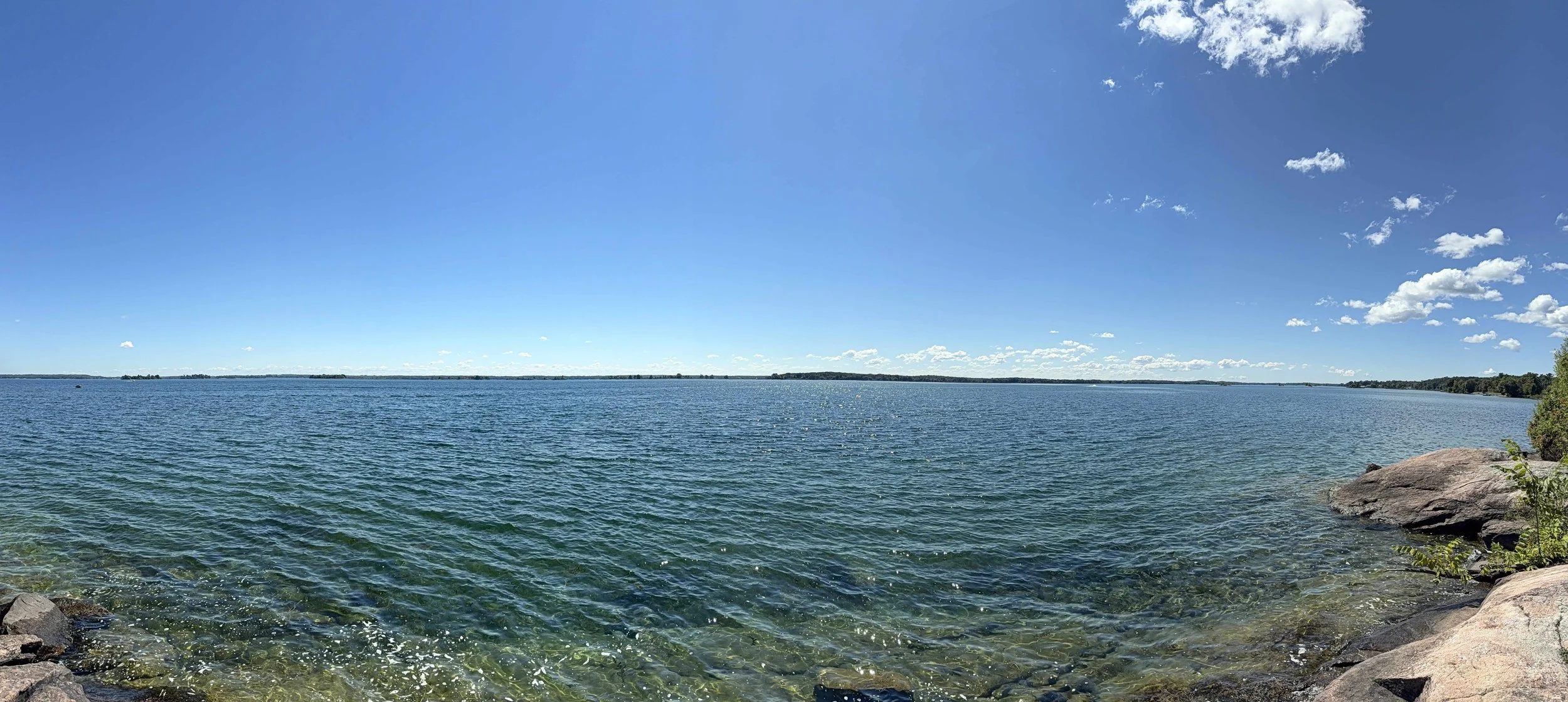 St. Lawrence River from shore at Malloytown Landing