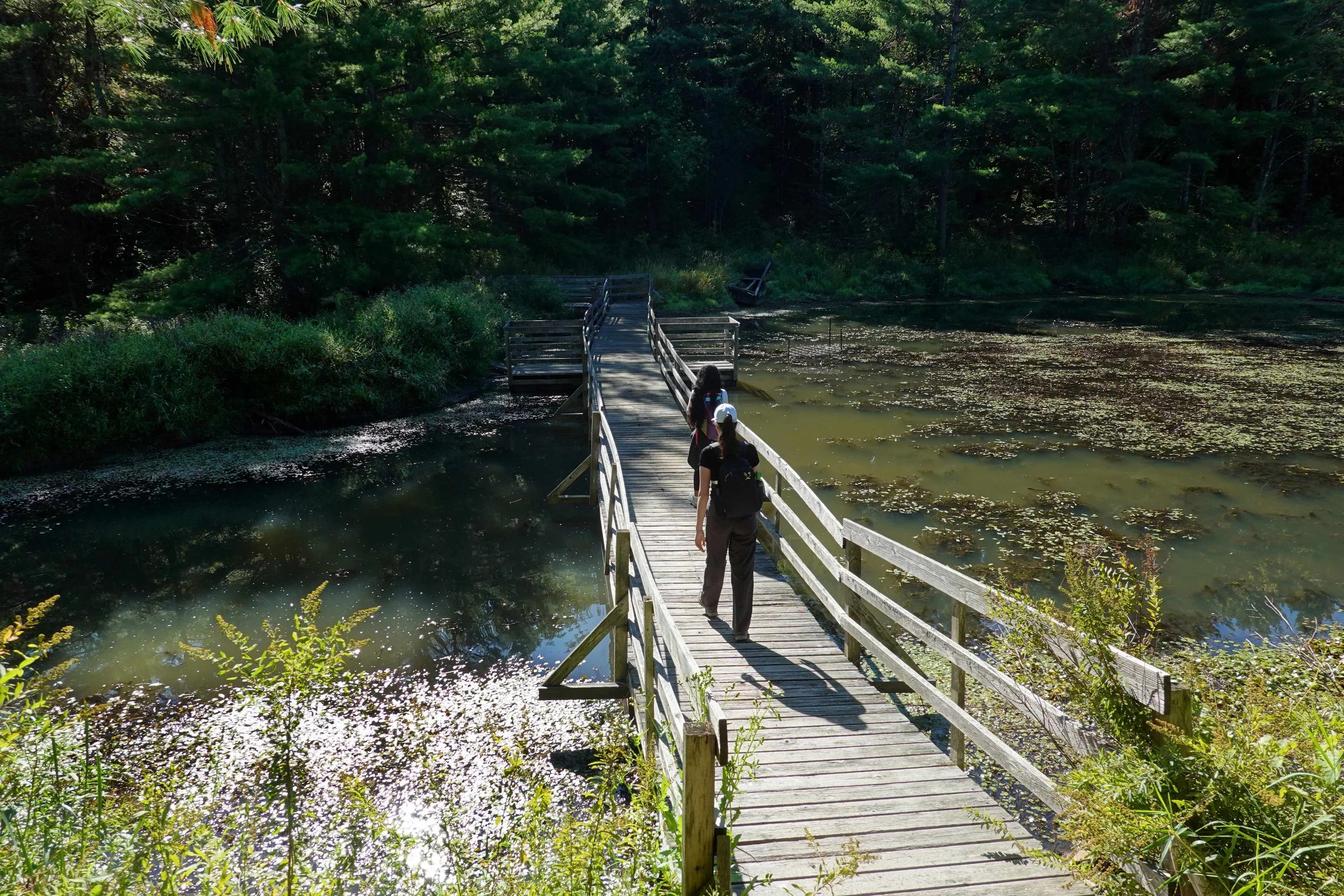 Wolfe Trail