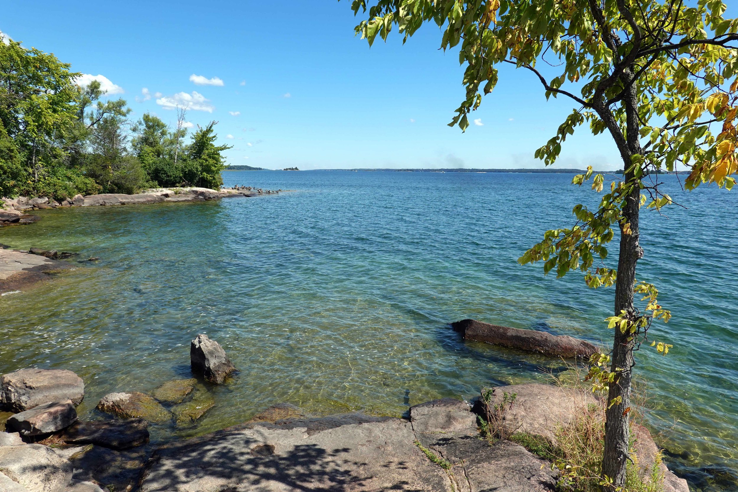 Bay Trail