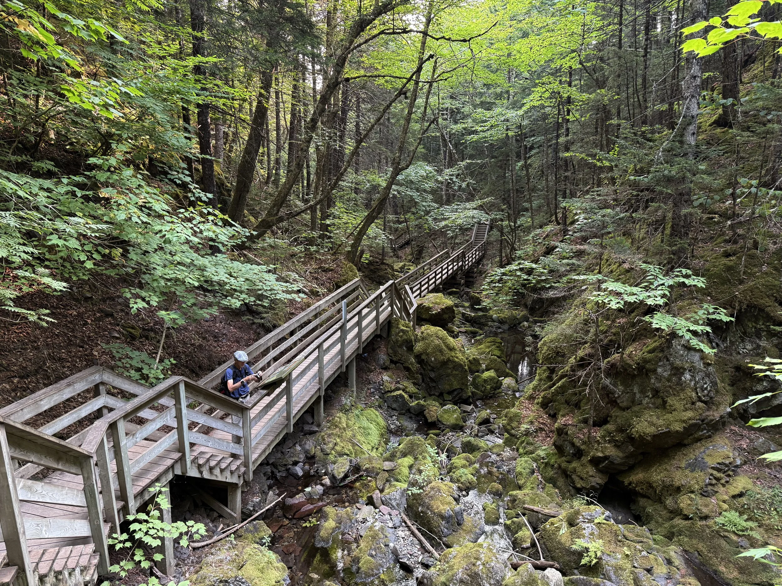 Dickson Falls Trail